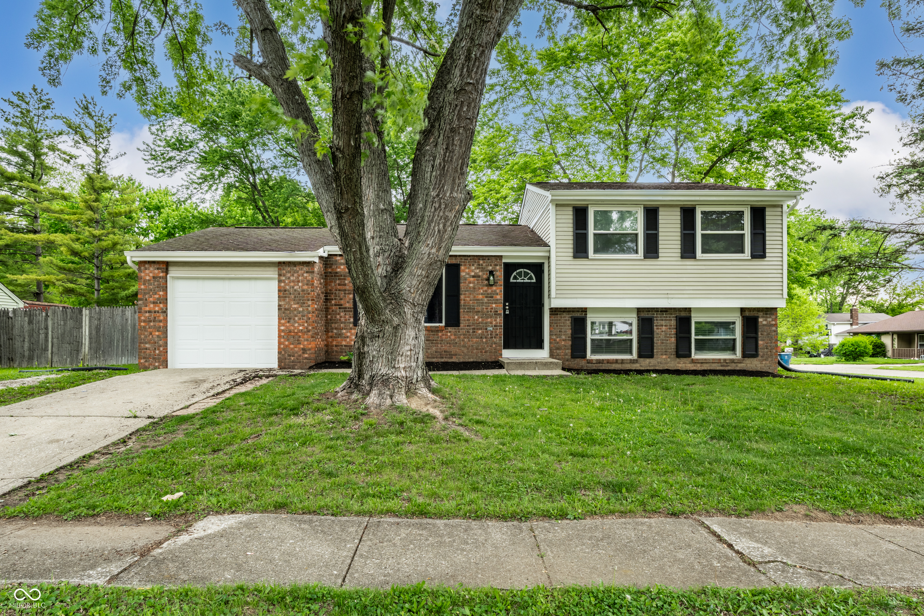 1501 Butternut Lane