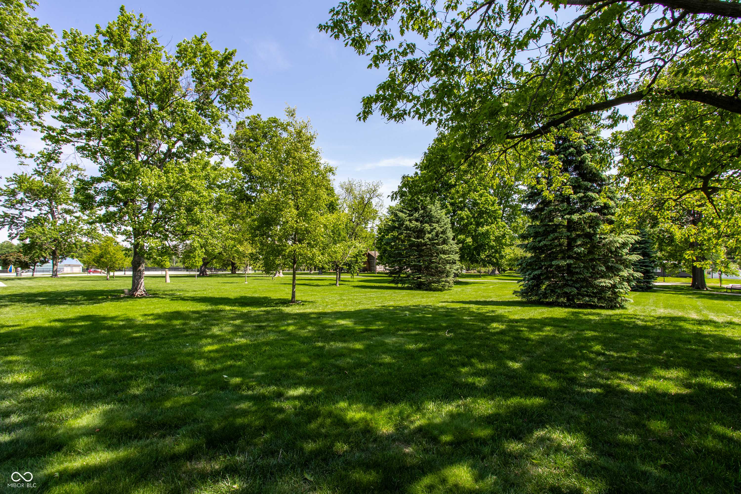 1203 Lindsey Lane