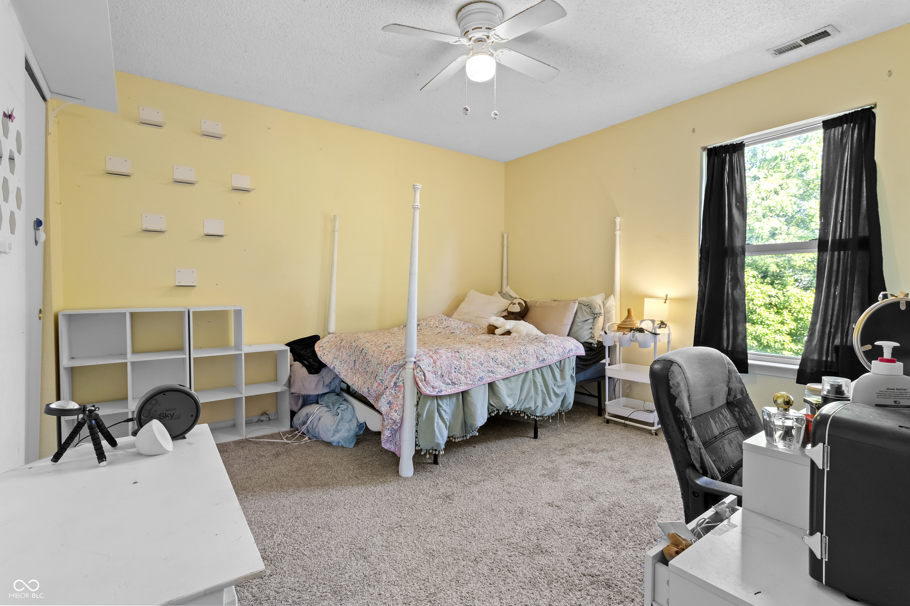 19185 Calico Aster Drive