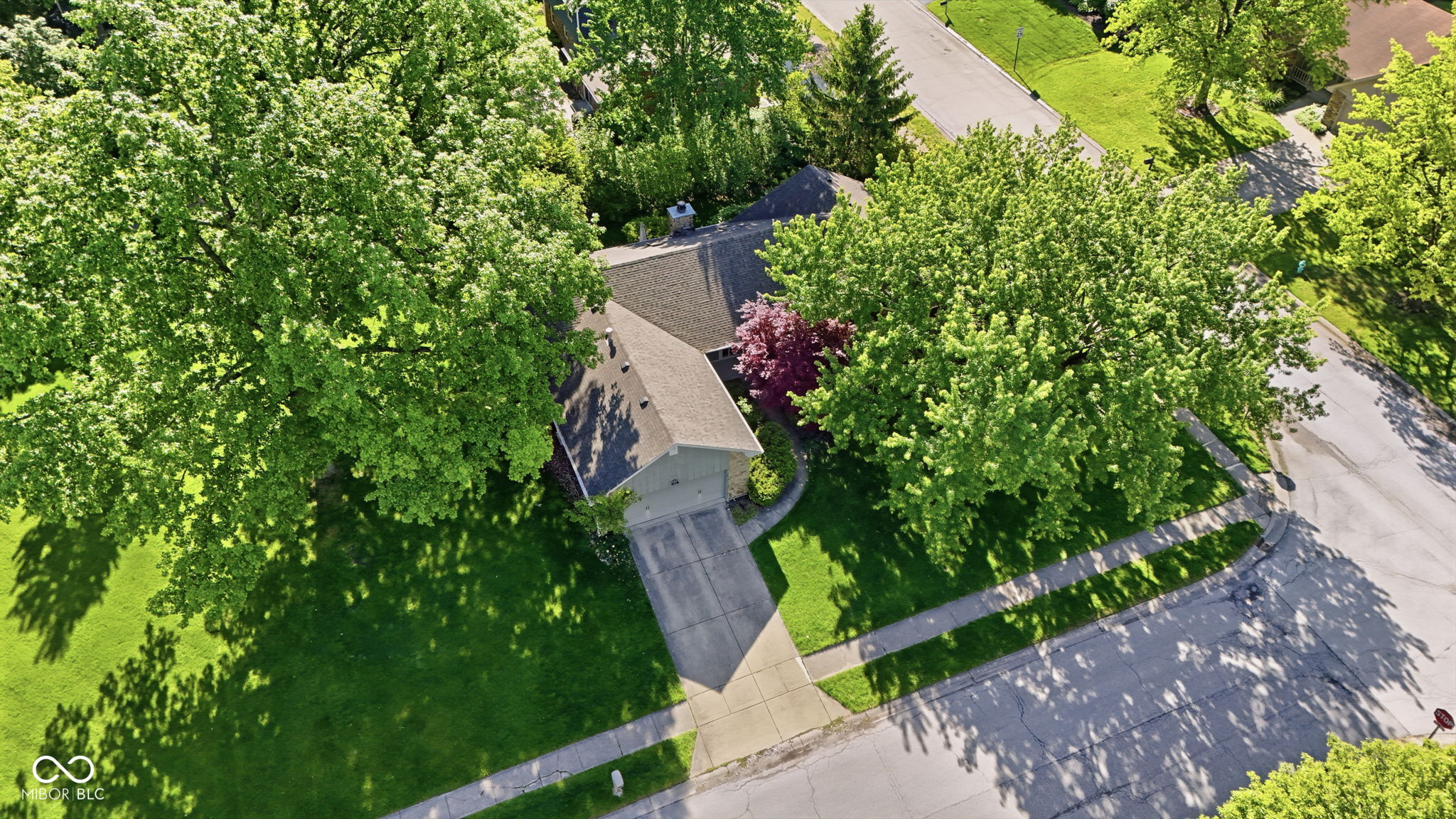 7711 Warbler Way