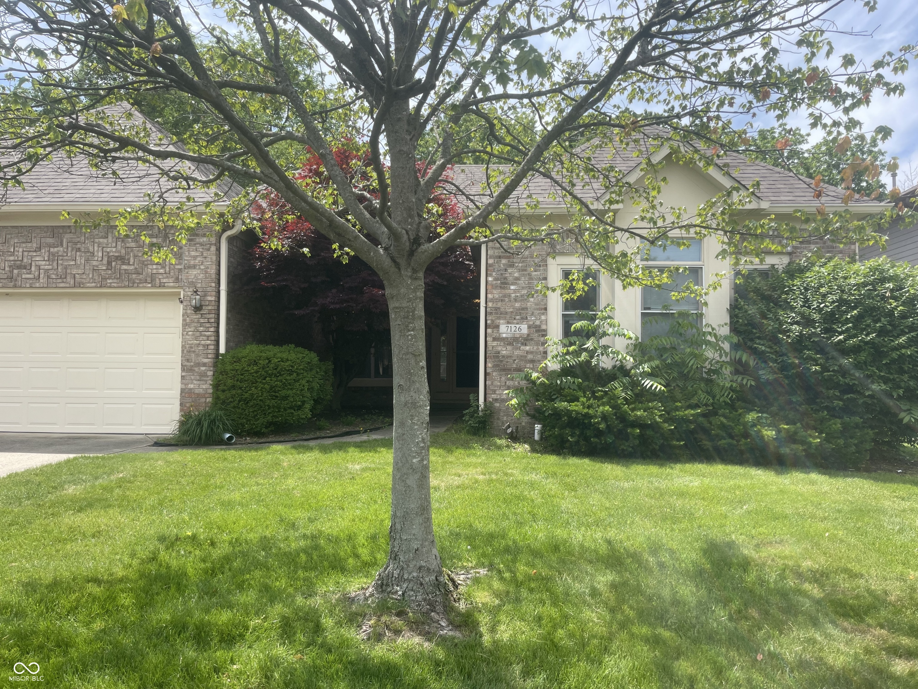7126 Lakeside Woods Drive