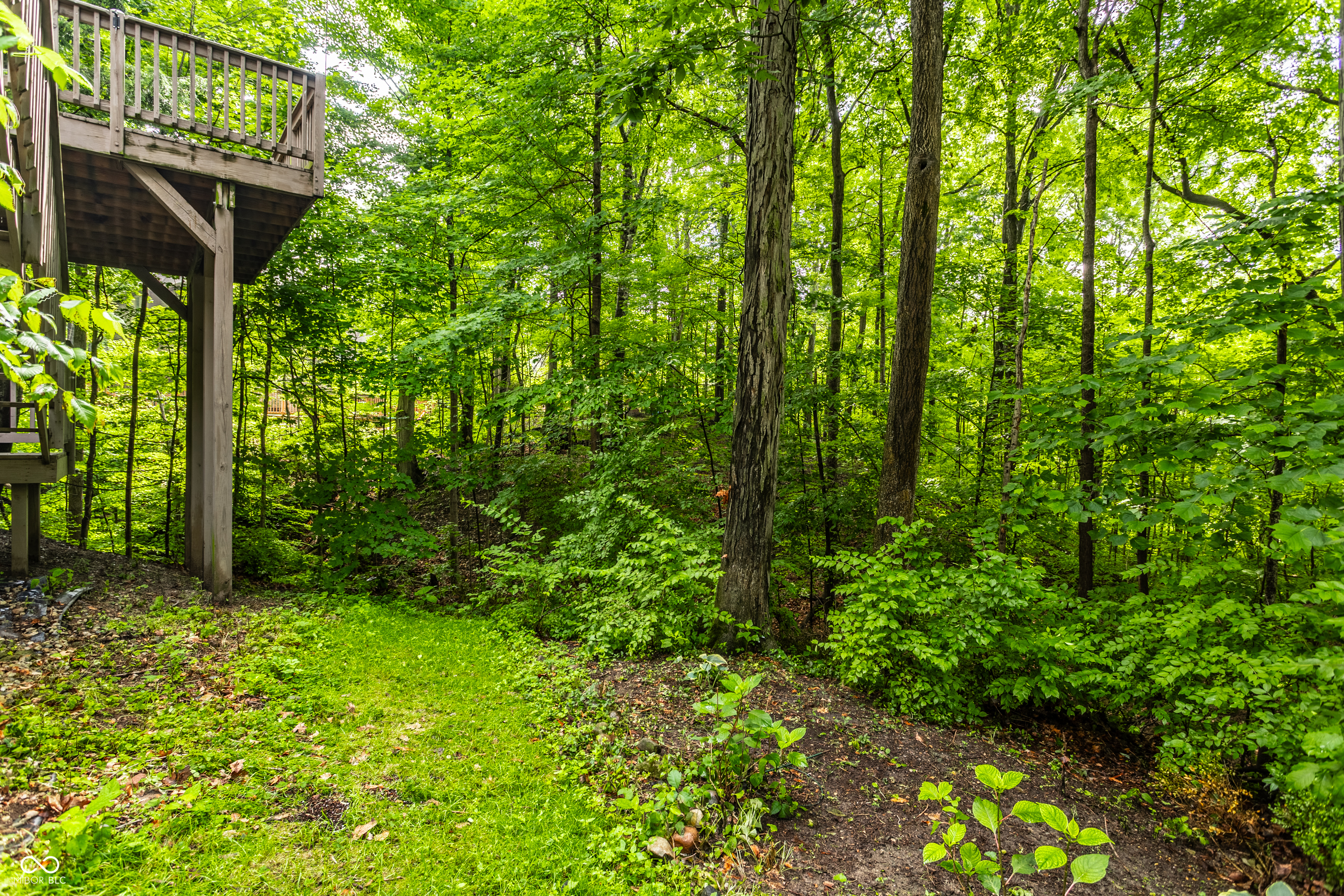 7821 Timber Run Court