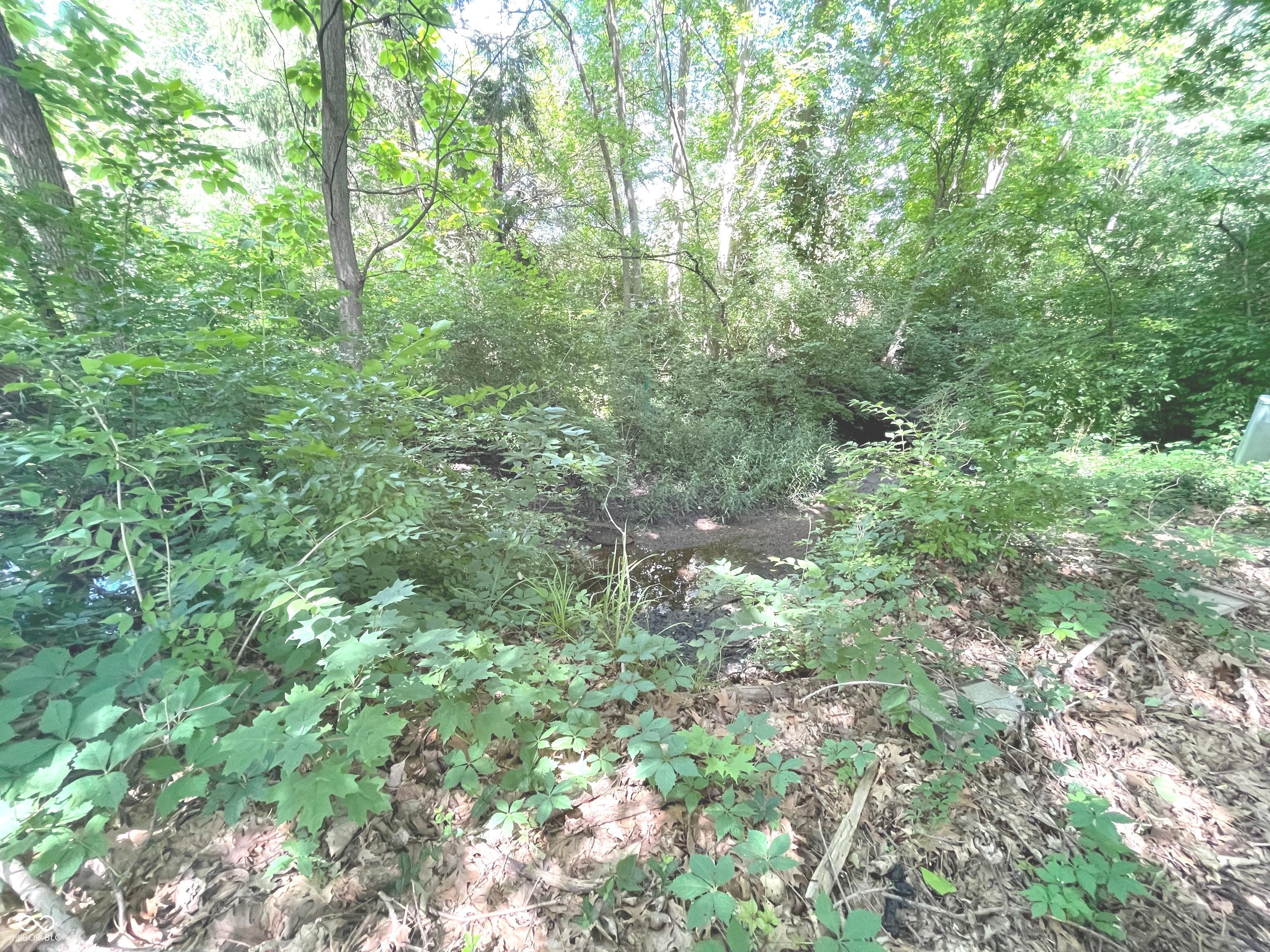 5514 Freedom Court