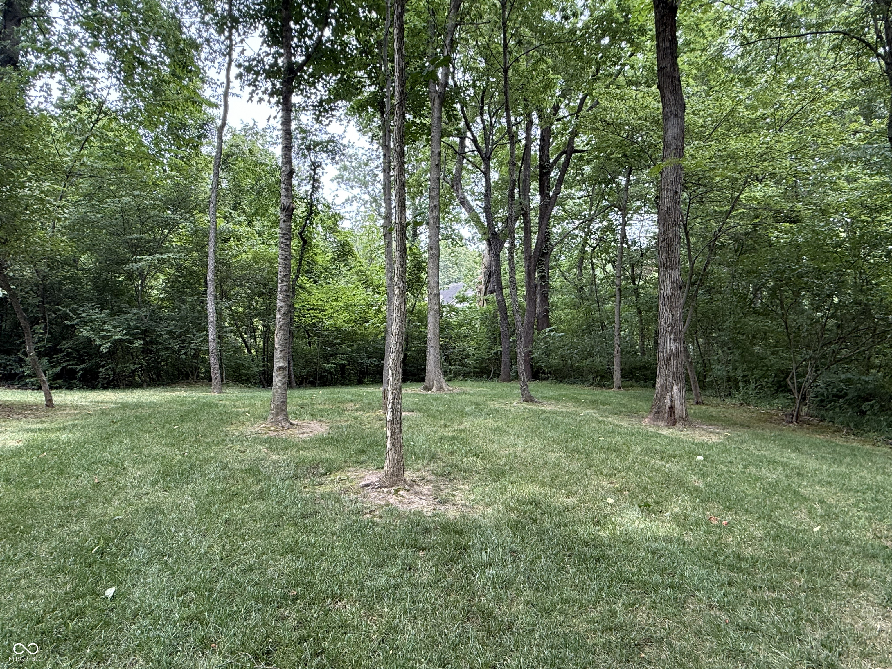 9009 Shetland Court