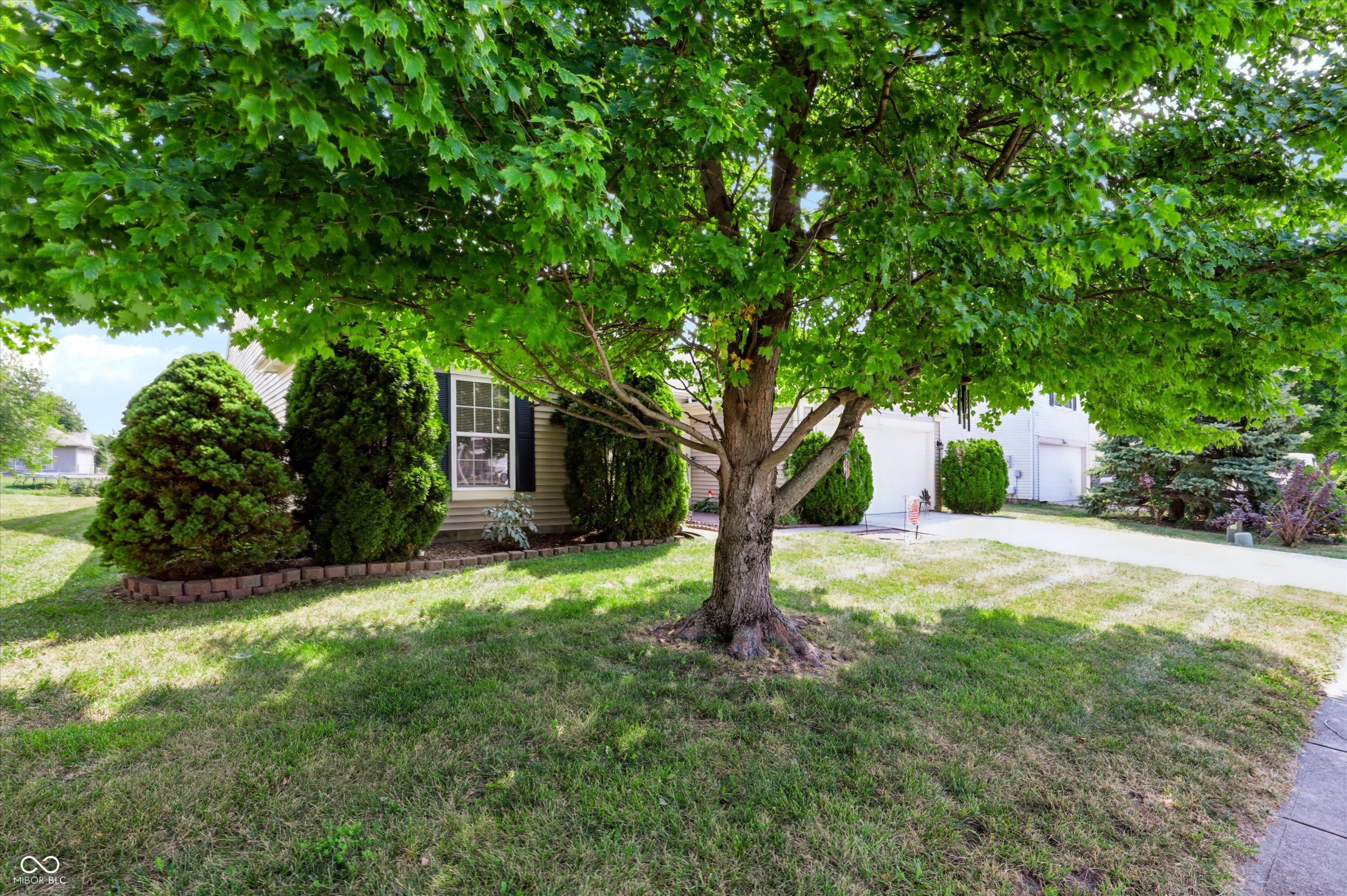 5629 Olive Branch Way