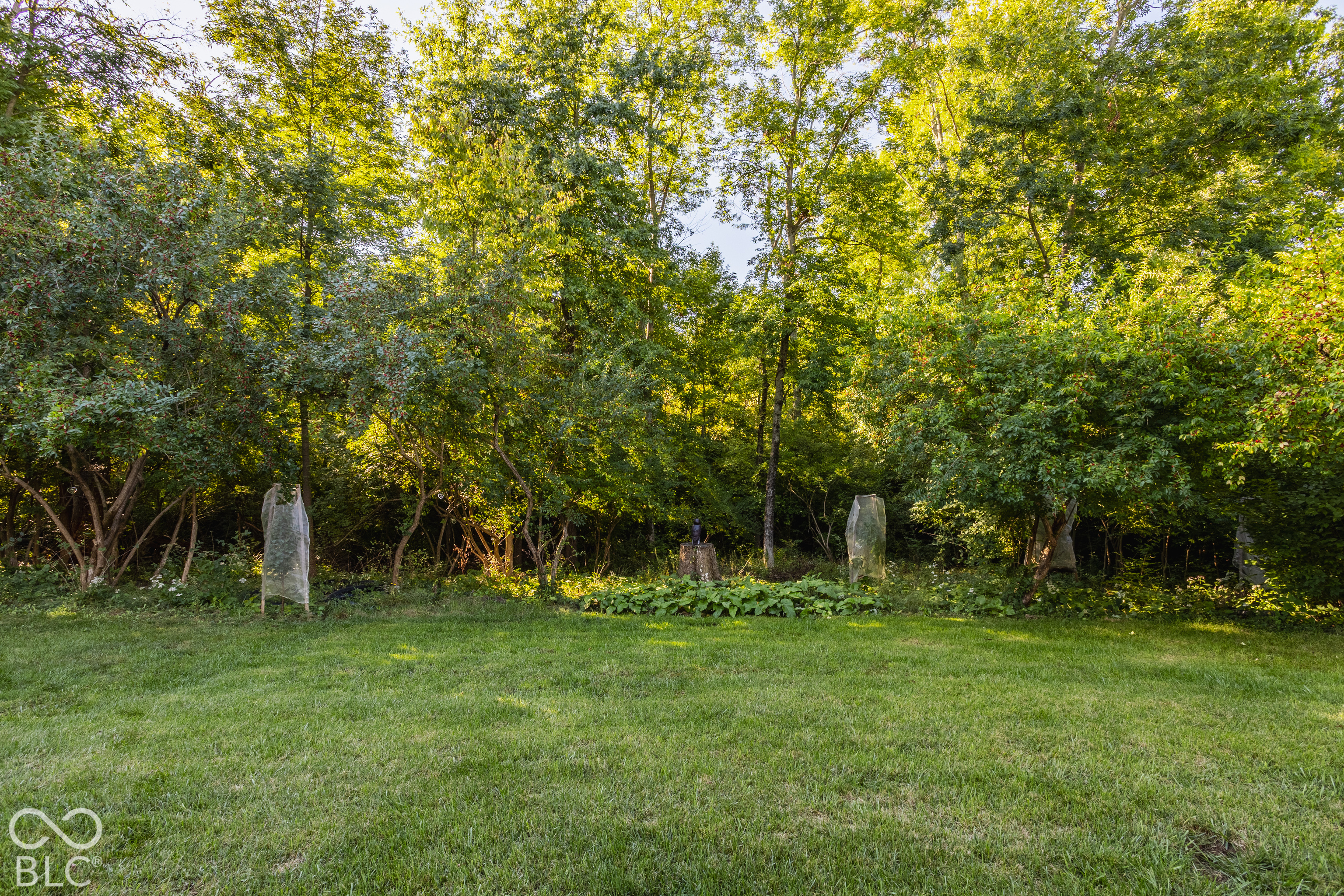9037 Pinecreek Way