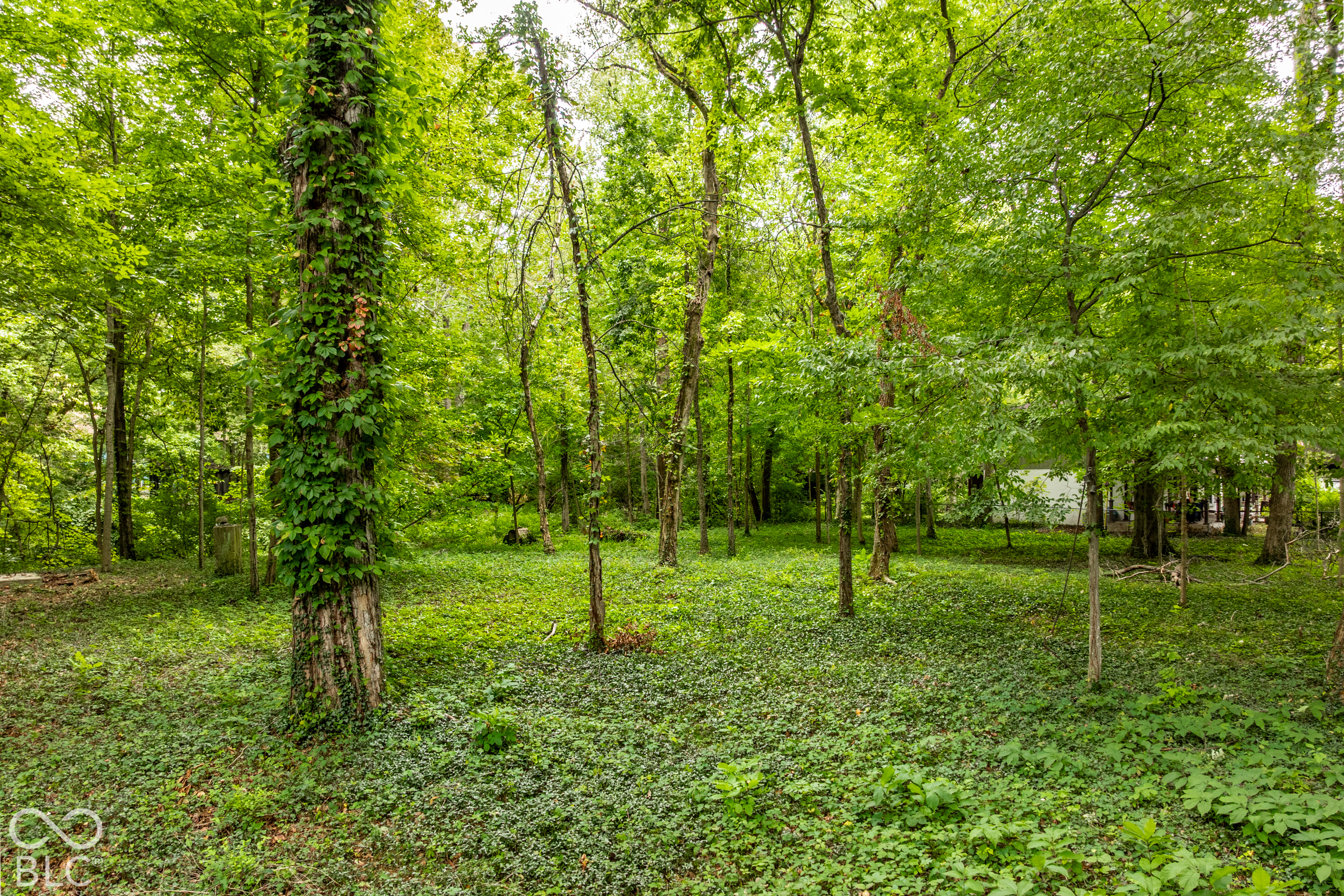 5345 Knollton Road