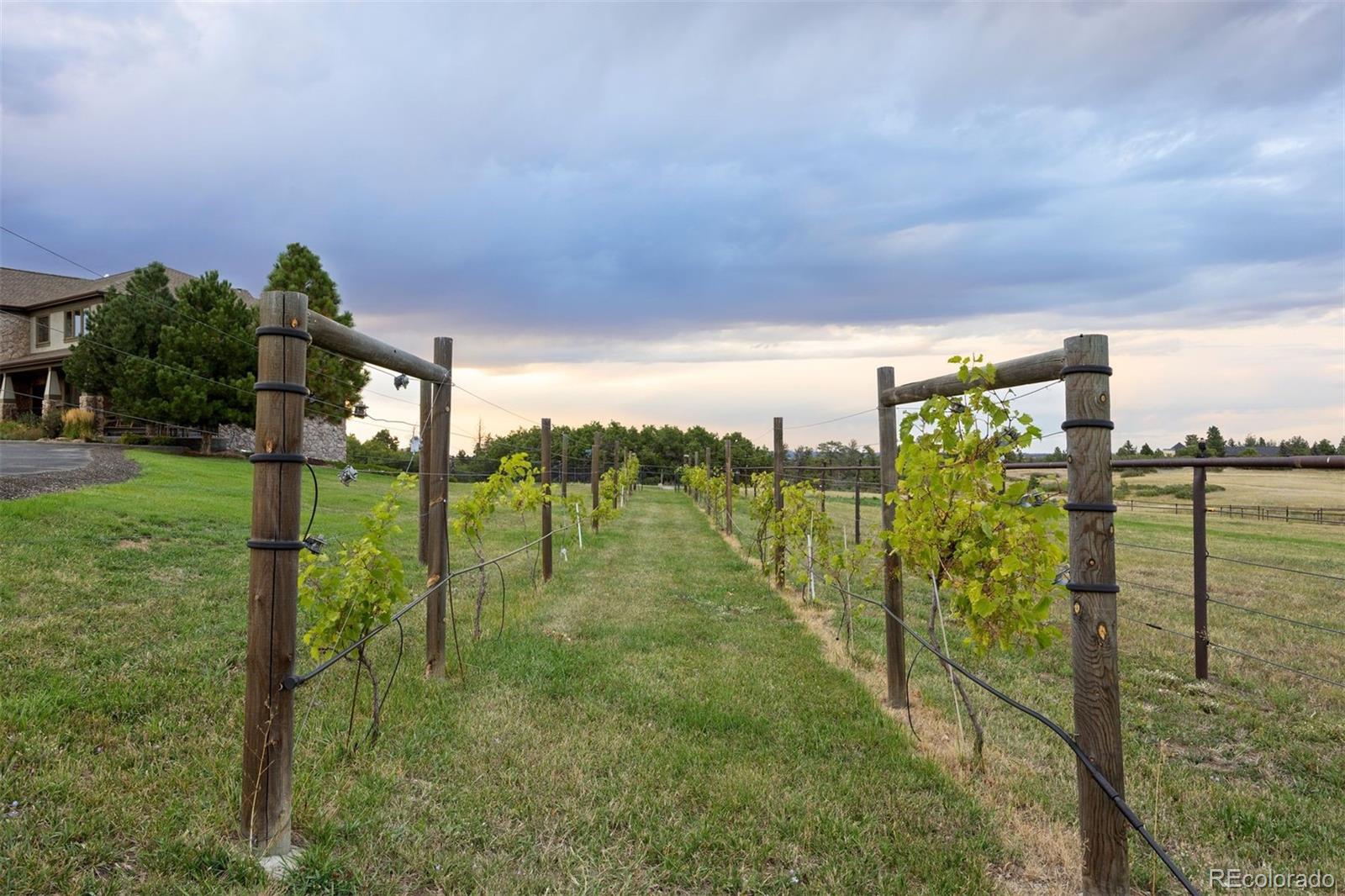 2940 Canon Ridge Road