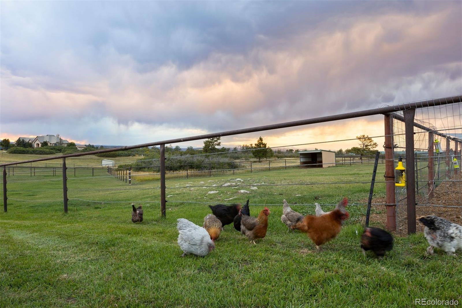 2940 Canon Ridge Road