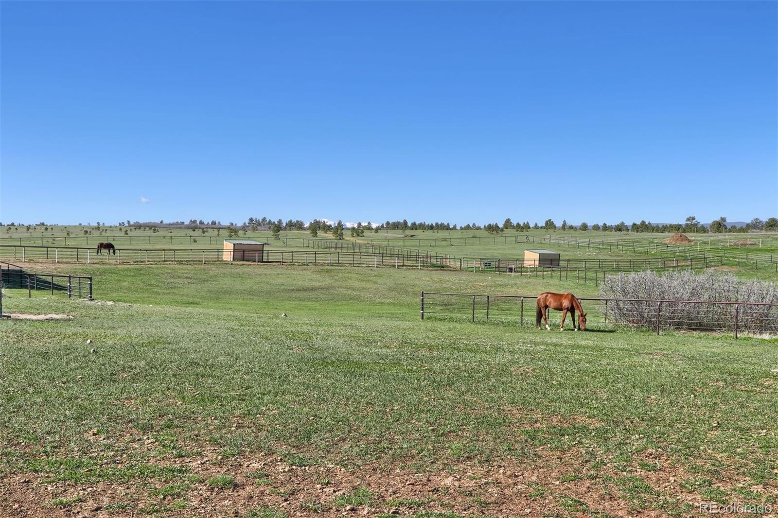 2940 Canon Ridge Road