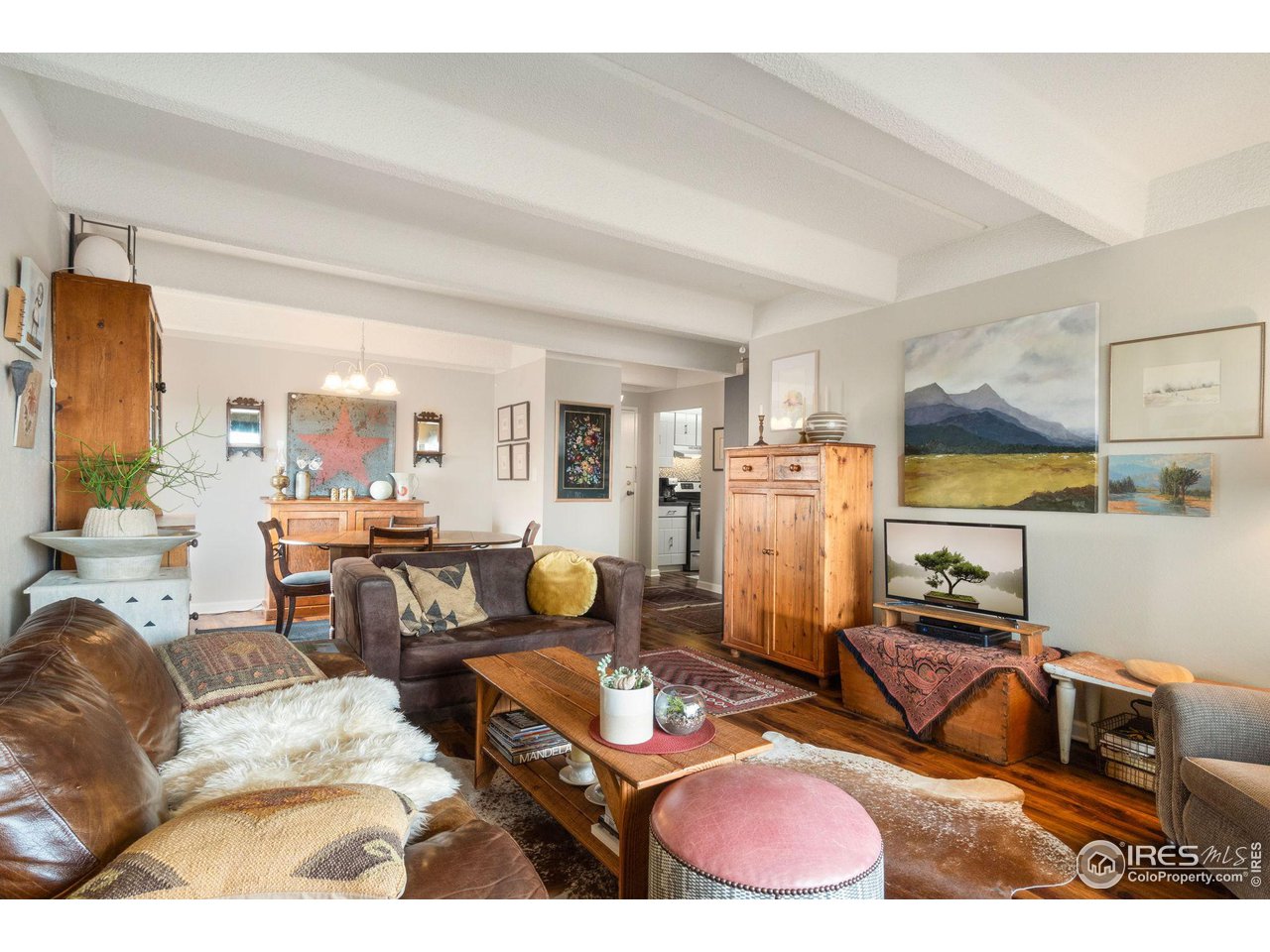 415 S Howes St N-1009
