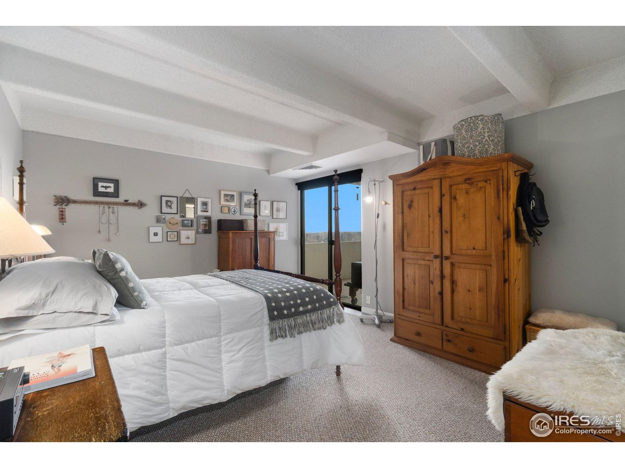 415 S Howes St N-1009