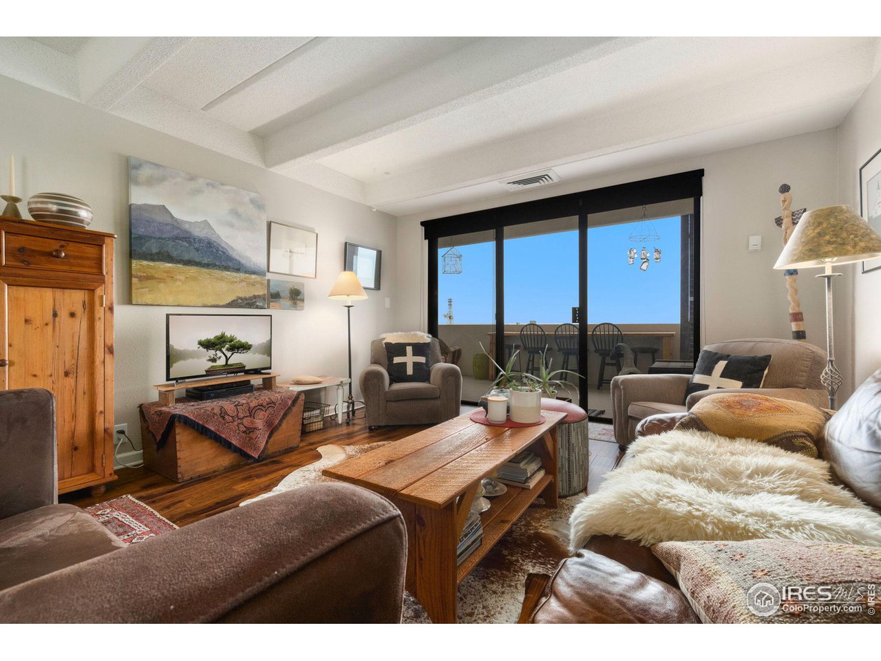 415 S Howes St N-1009