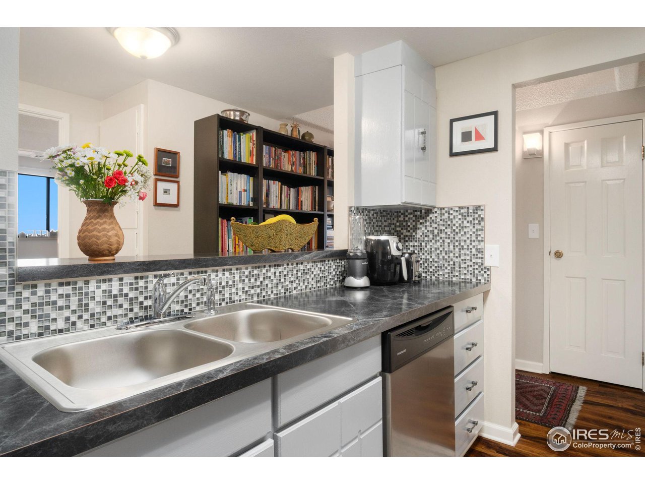 415 S Howes St N-1009