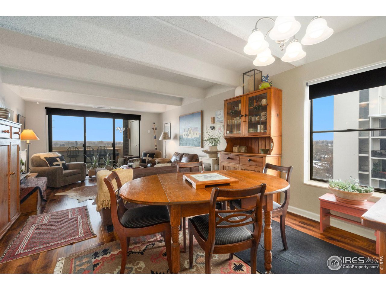 415 S Howes St N-1009