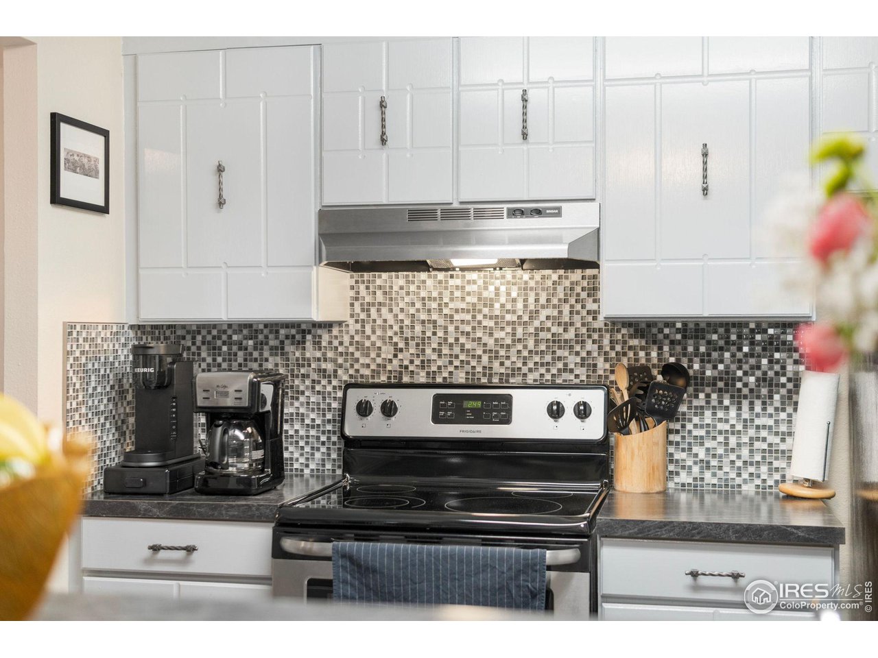 415 S Howes St N-1009