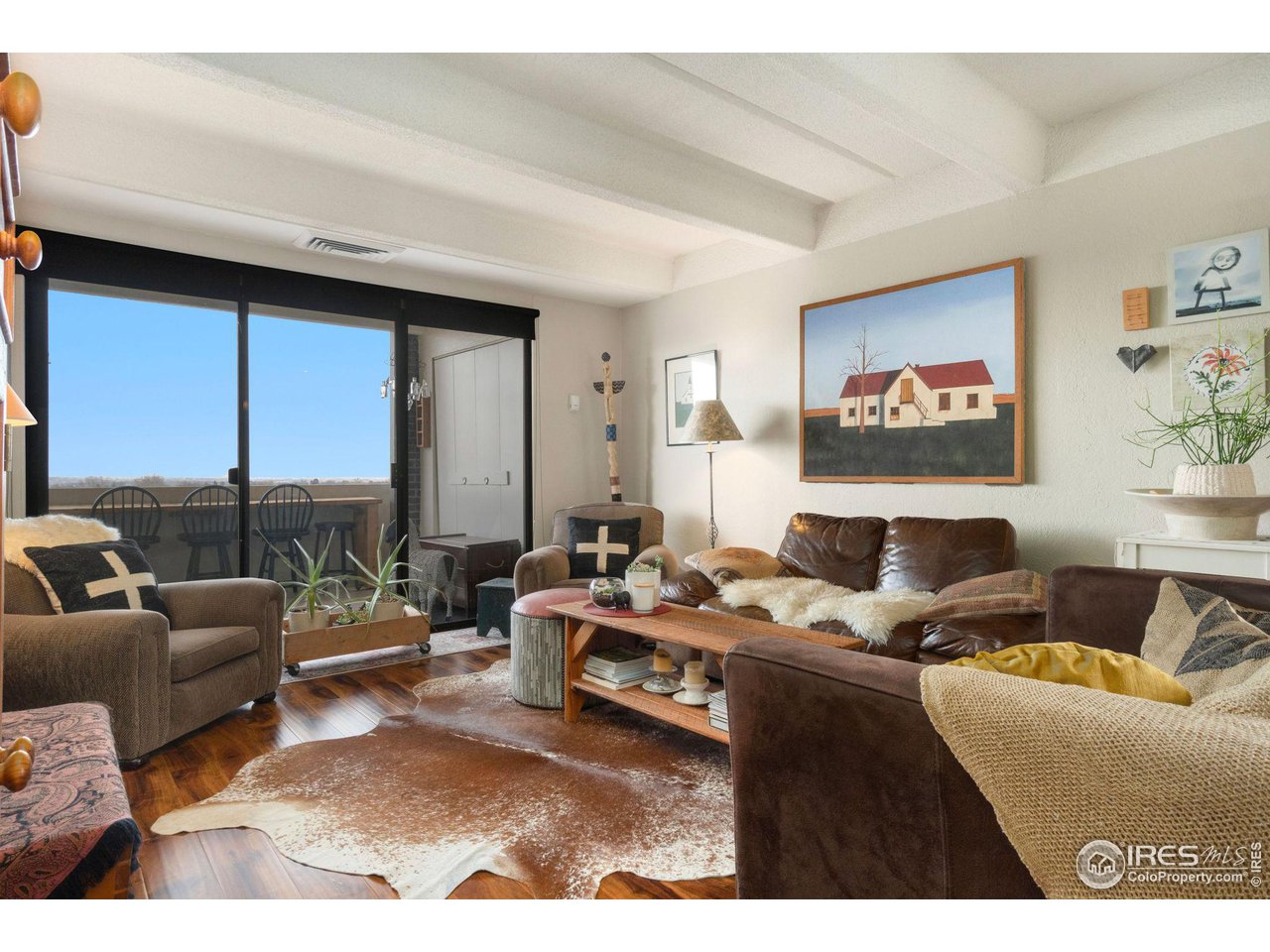 415 S Howes St N-1009