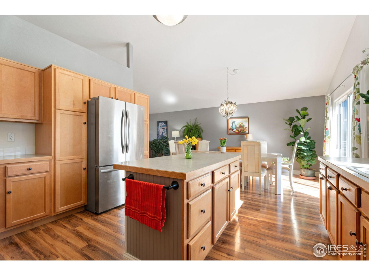 202 Snow Goose Ave