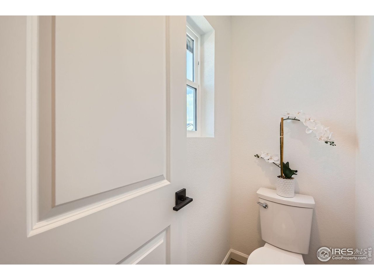 751 Wood Sorrel Ln