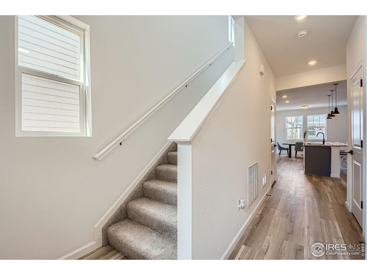 751 Wood Sorrel Ln