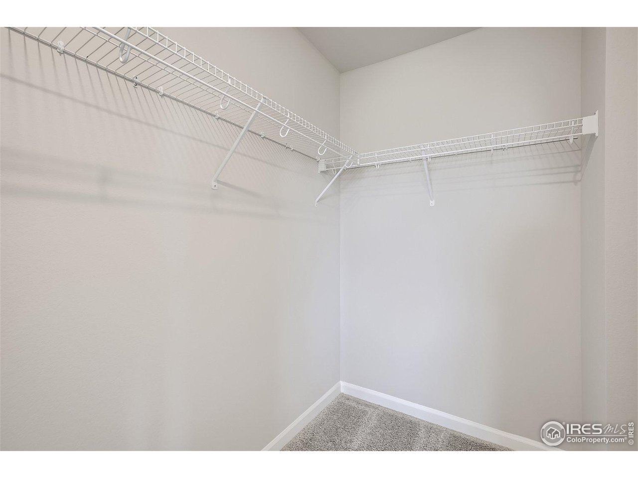 774 Wood Sorrel Ln