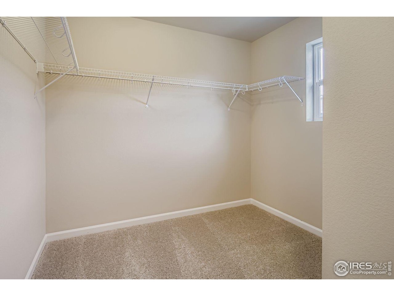 744 Wood Sorrel Ln