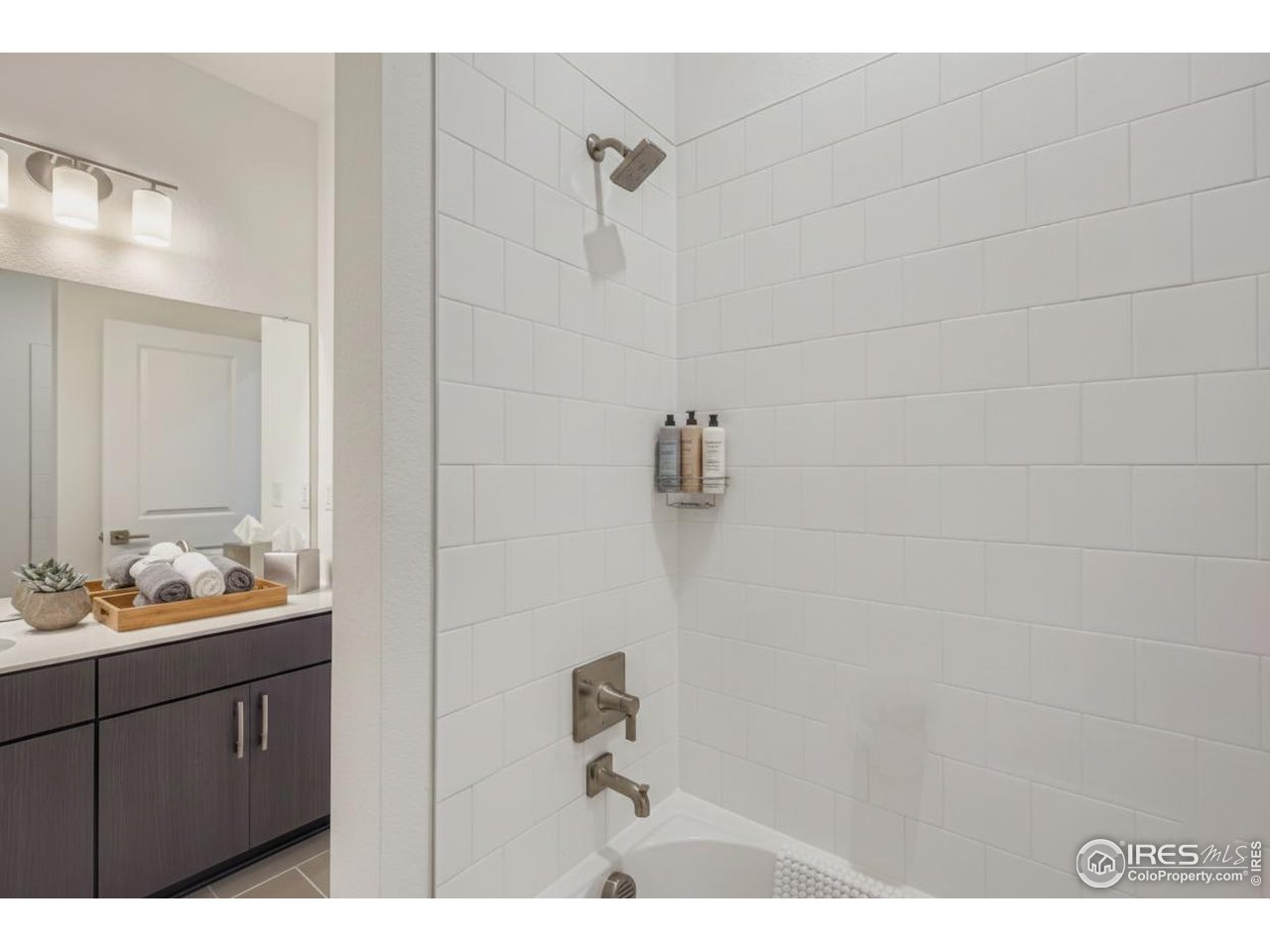 845 Merganser Dr