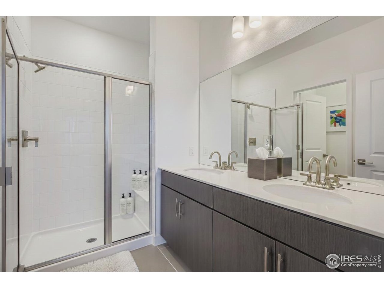 845 Merganser Dr