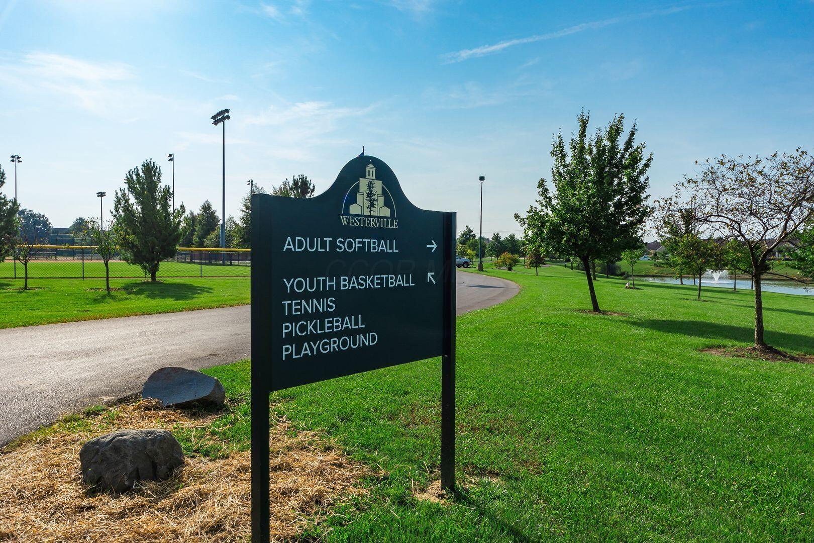 266 Black Walnut Drive