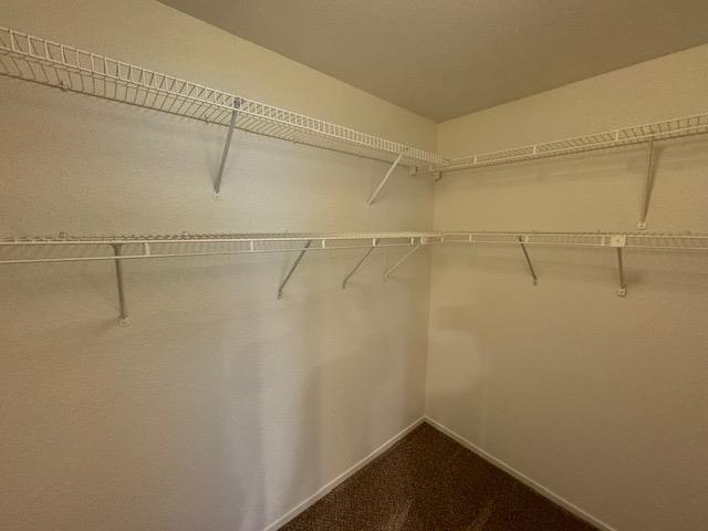 8251 Derbyshire Circle