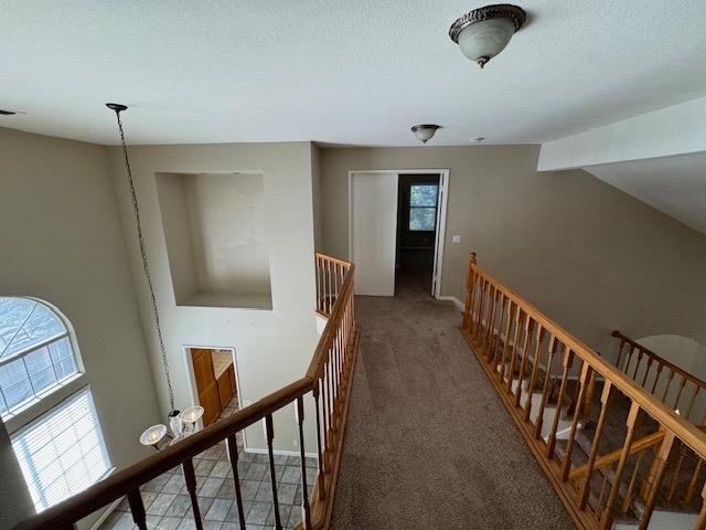 8251 Derbyshire Circle