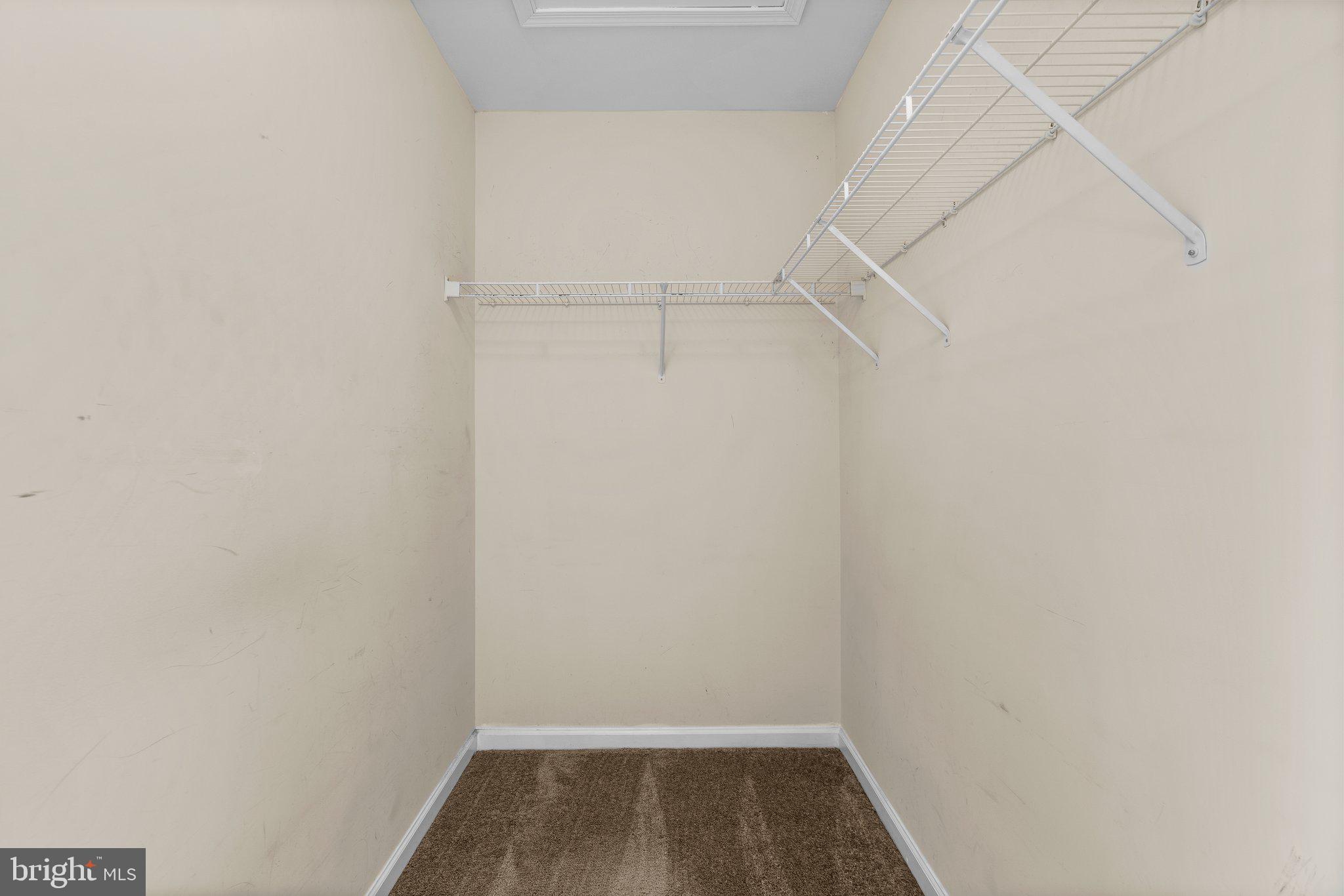 703 HORSE CHESTNUT COURT