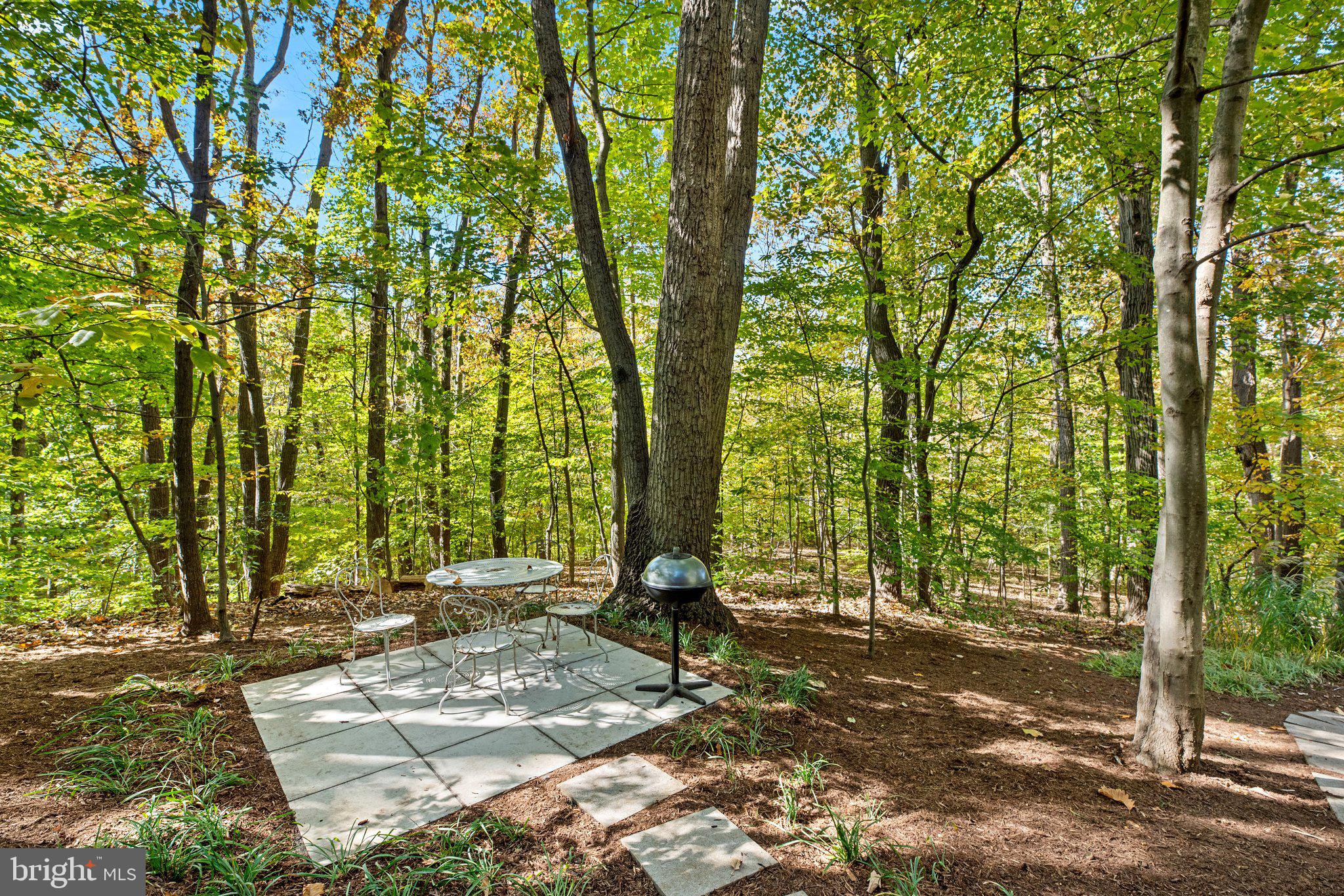 1177 W Mahogany LANE