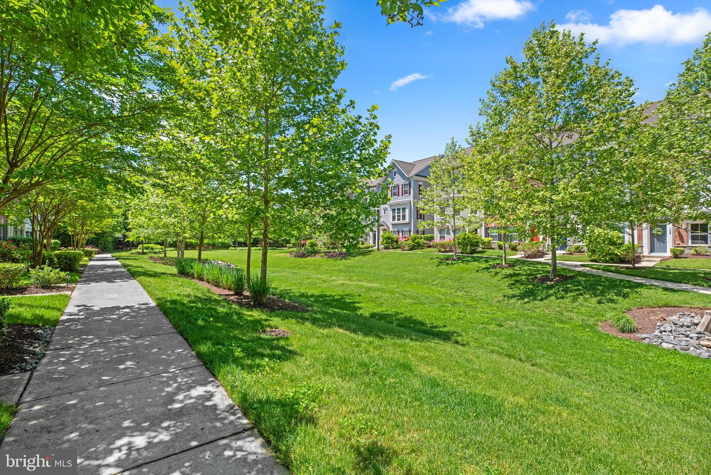 205 Vanguard Ln