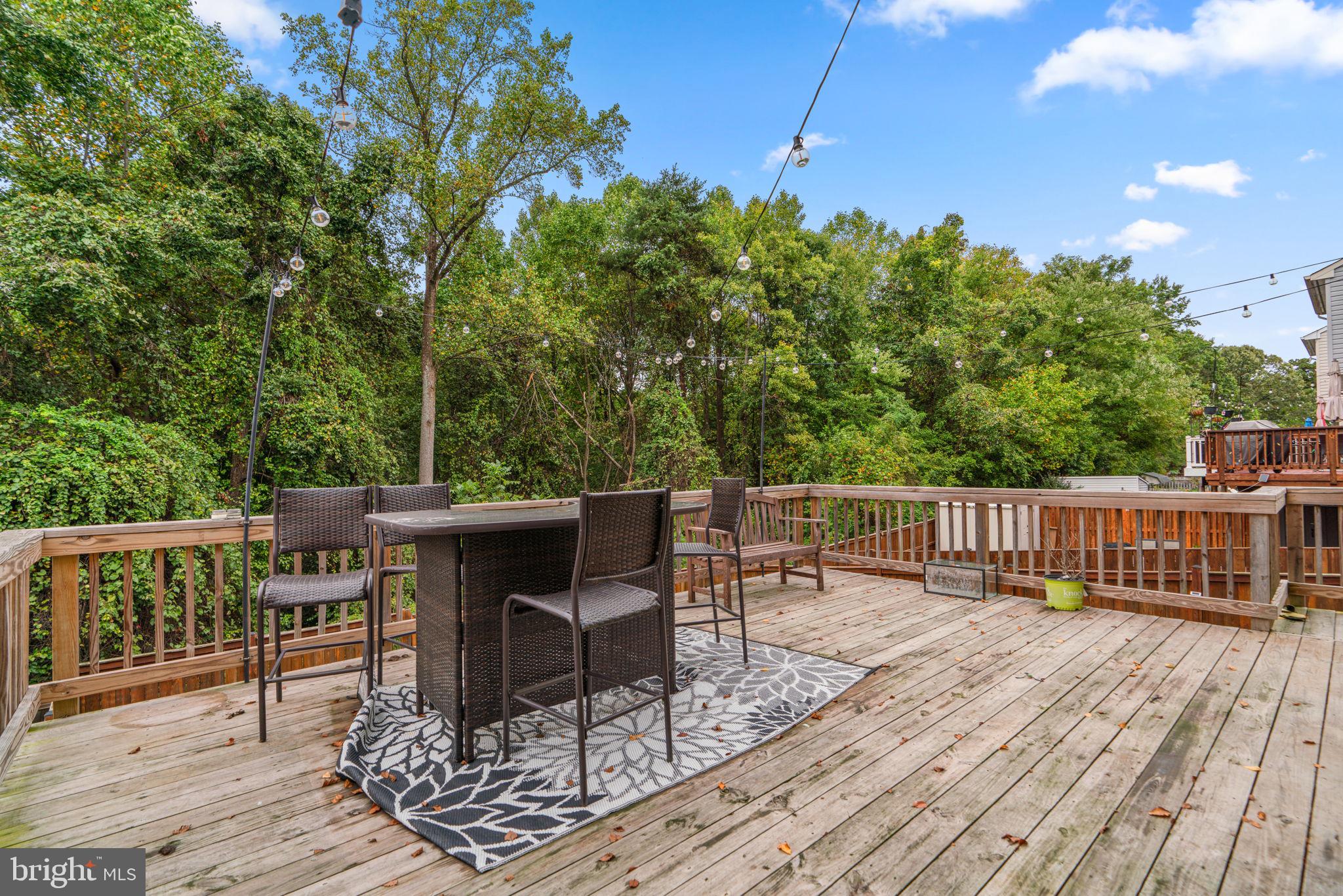 314 Green Mountain Ct