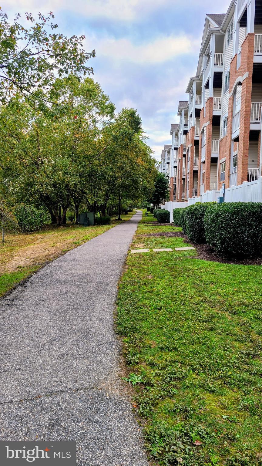 2607 CHAPEL LAKE DRIVE 208