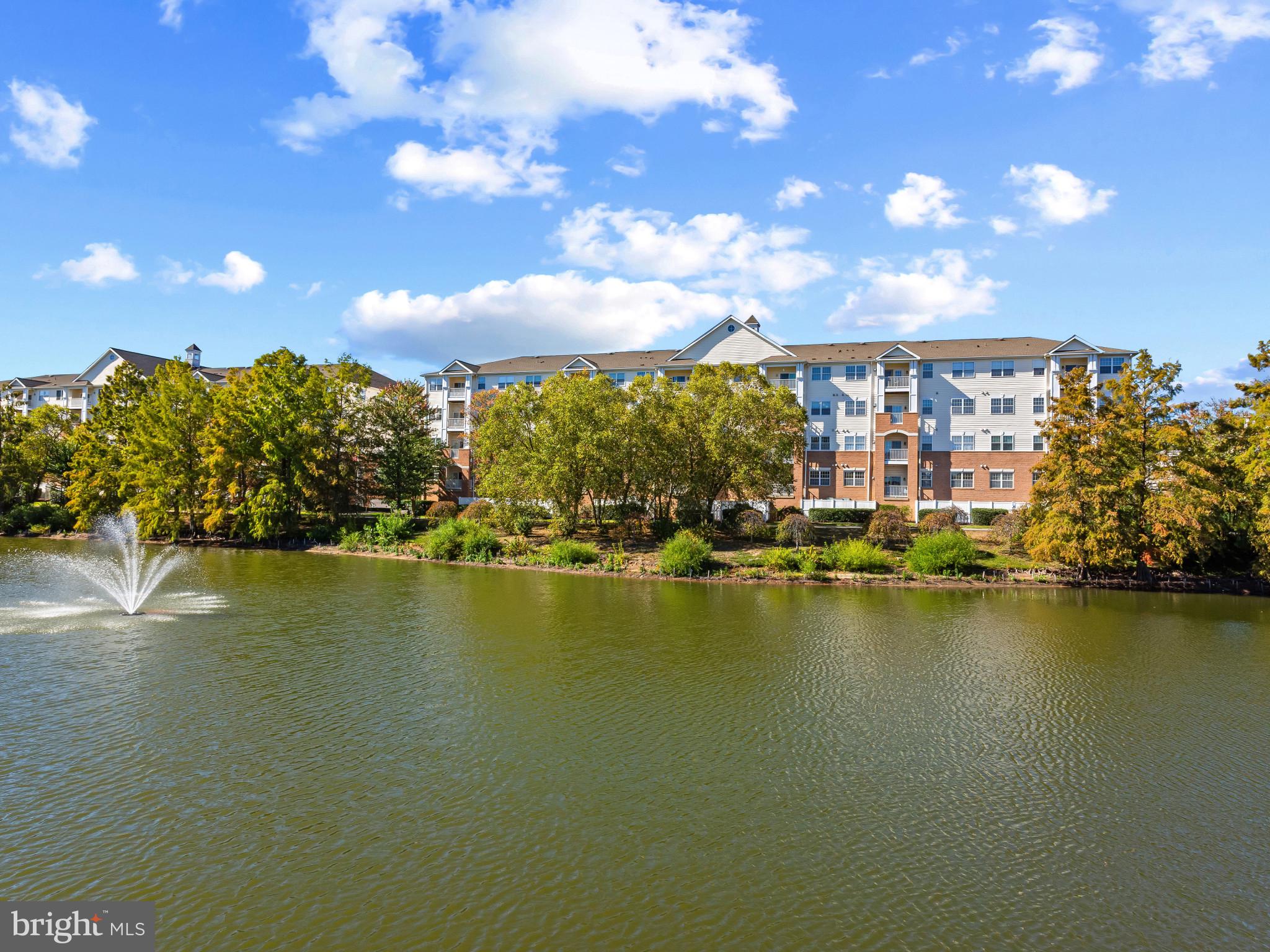 2607 CHAPEL LAKE DRIVE 208