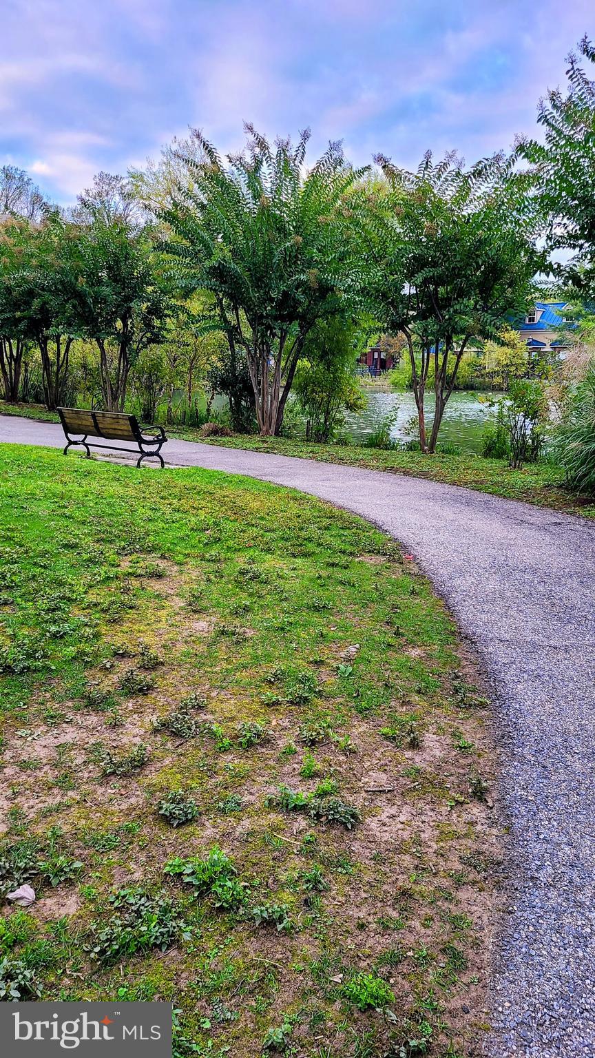 2607 CHAPEL LAKE DRIVE 208