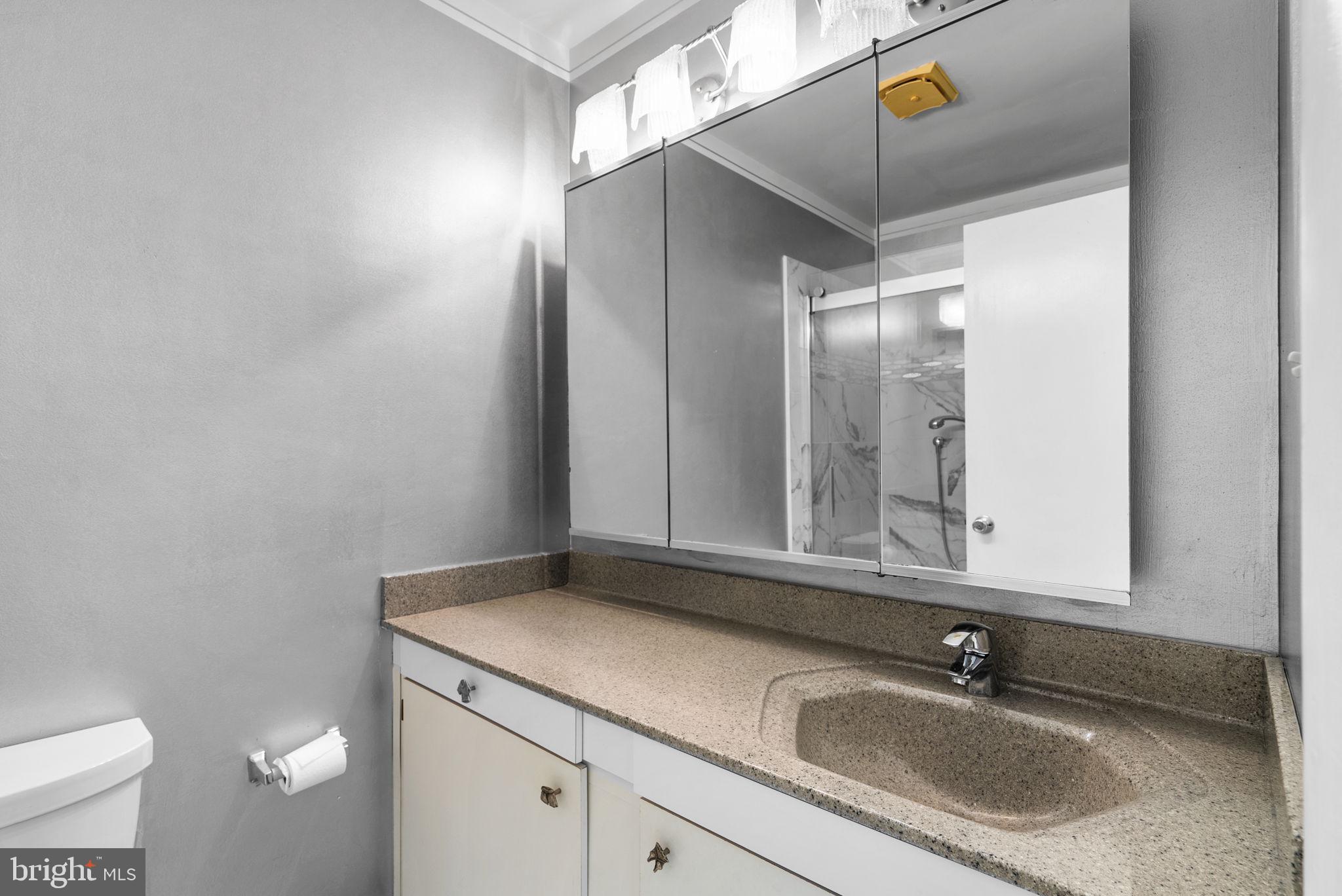 6300 Red Cedar Pl #310