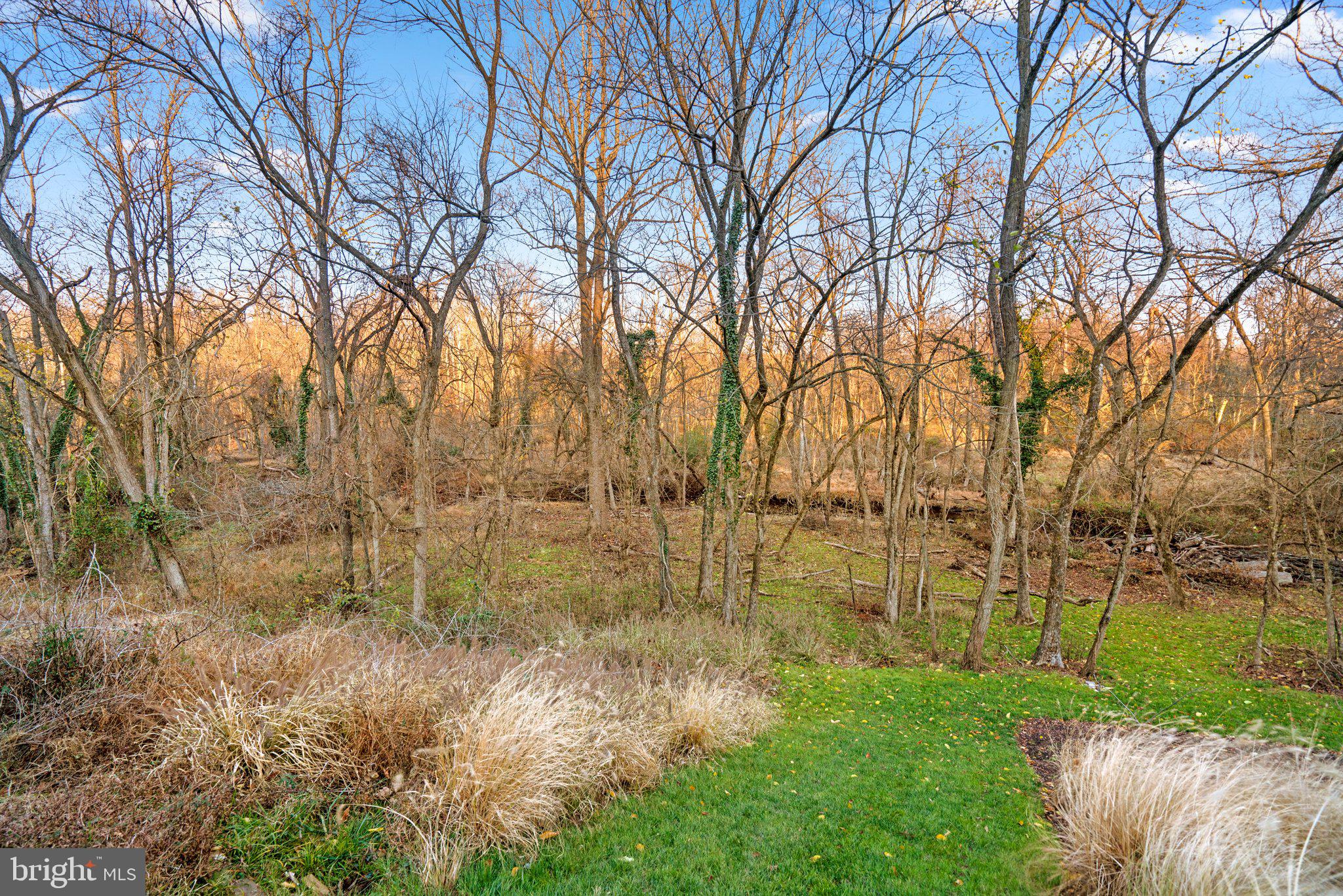 5907 Foxhall Manor DRIVE