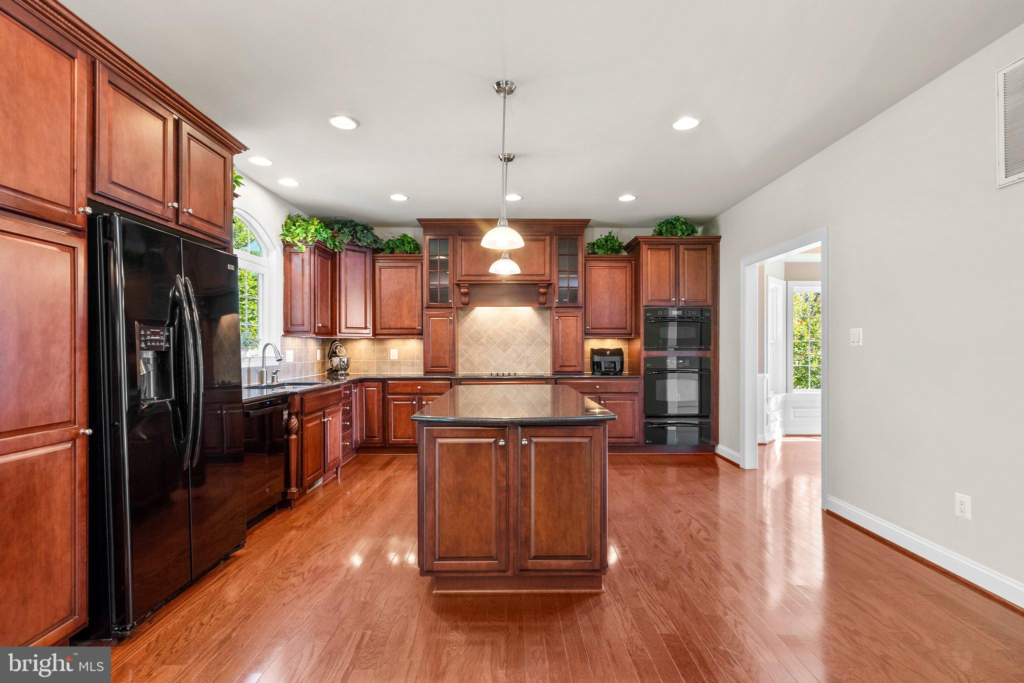 3366 CANNONCADE COURT