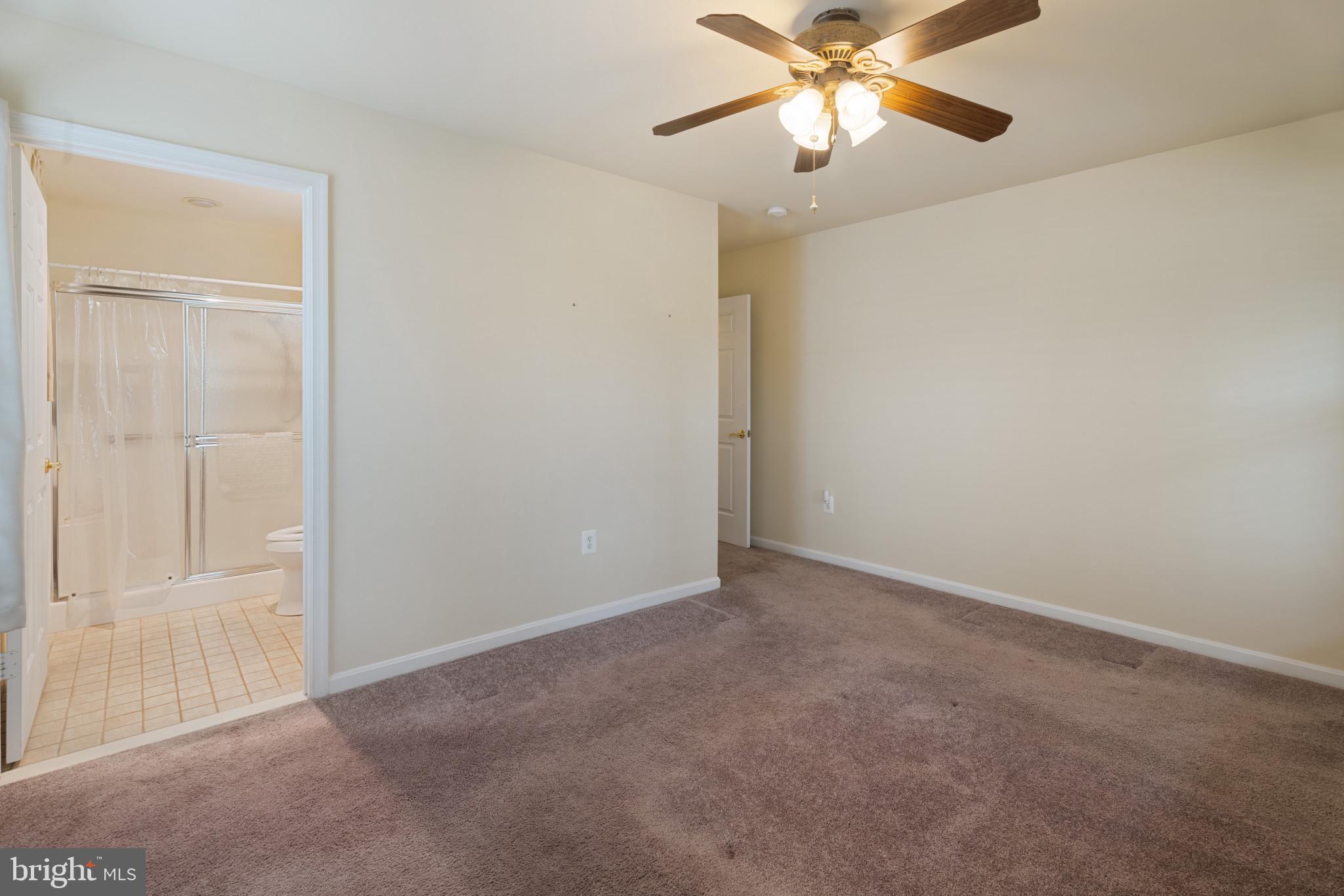 906 Roller Coaster Ct