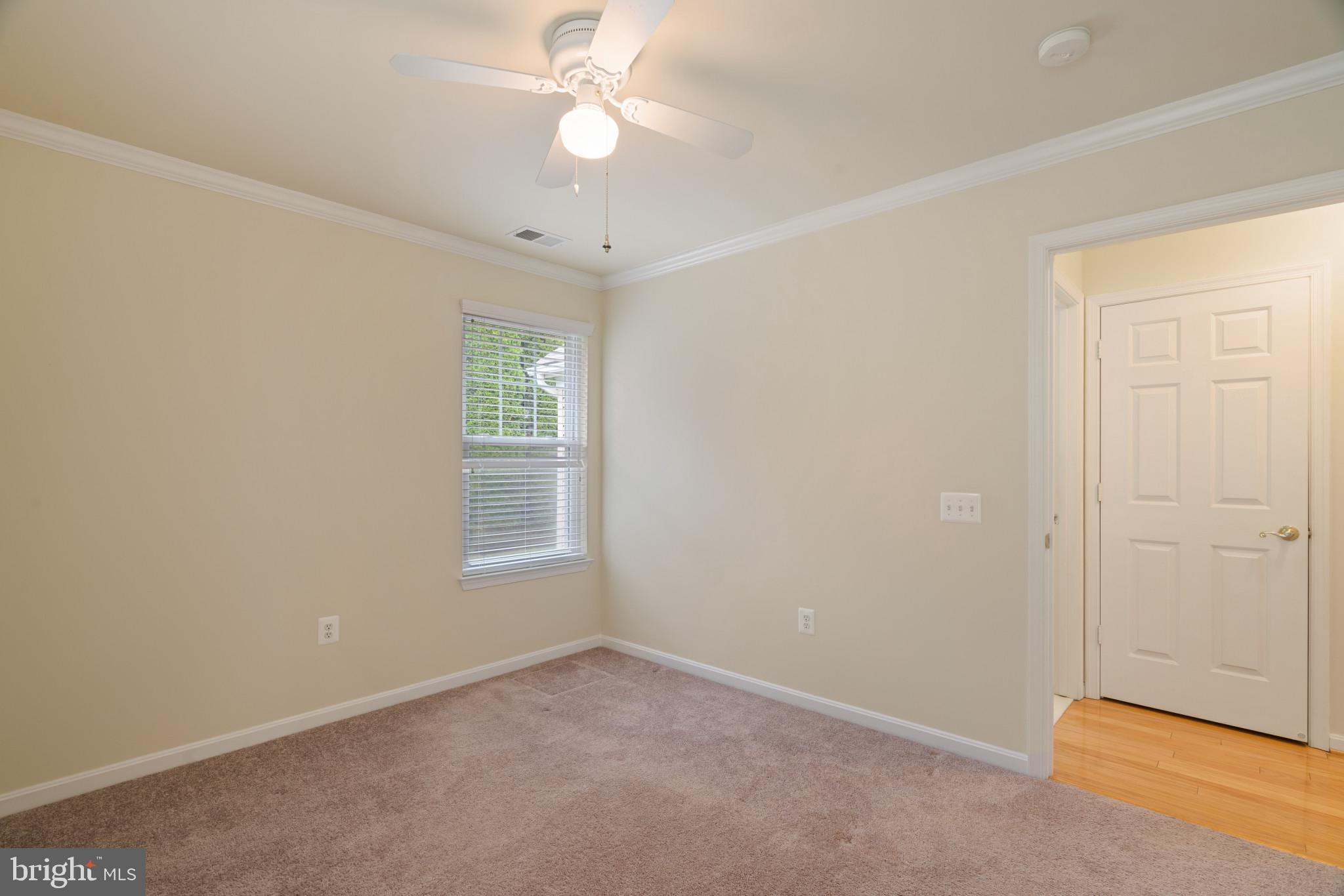 906 Roller Coaster Ct