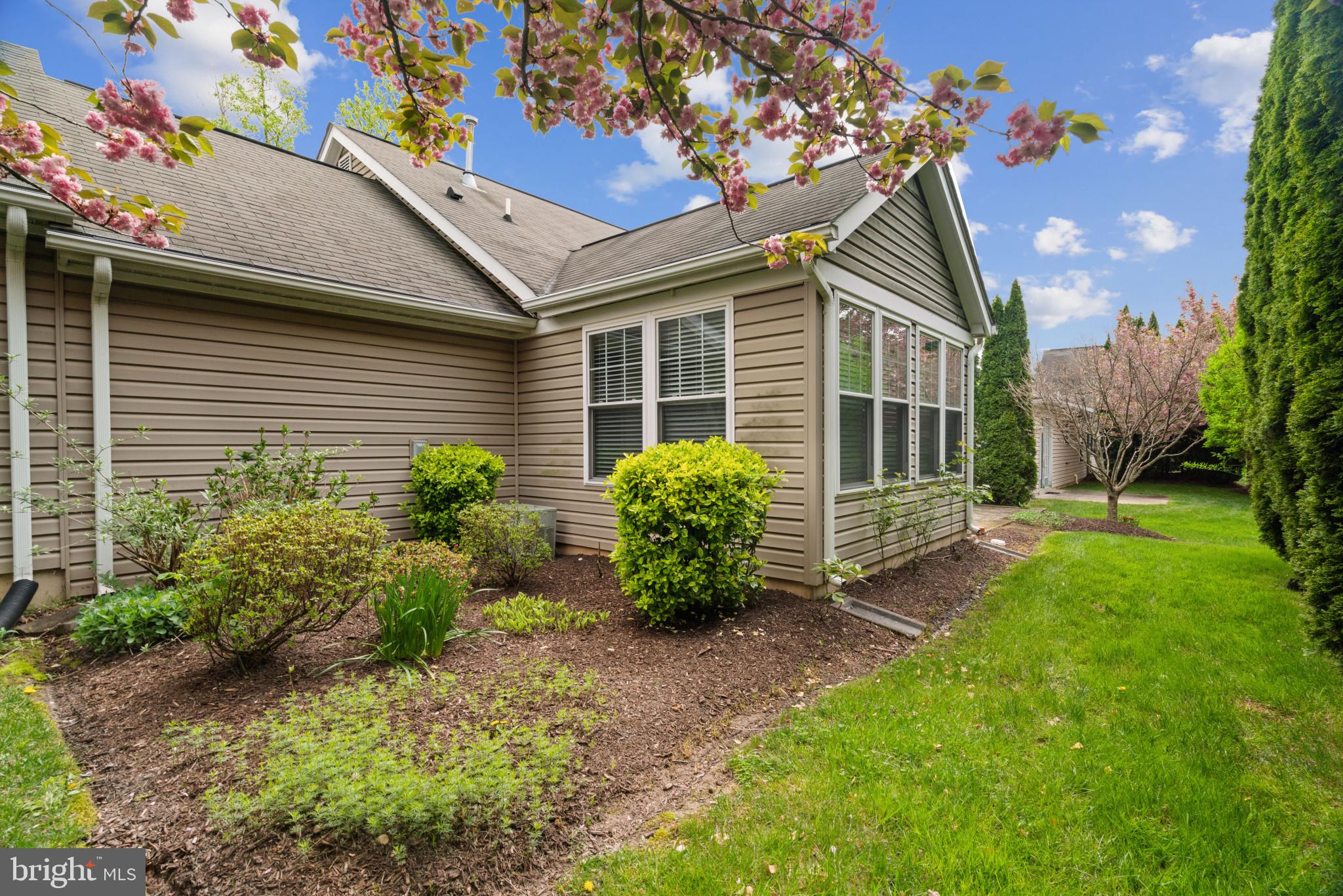 906 Roller Coaster Ct