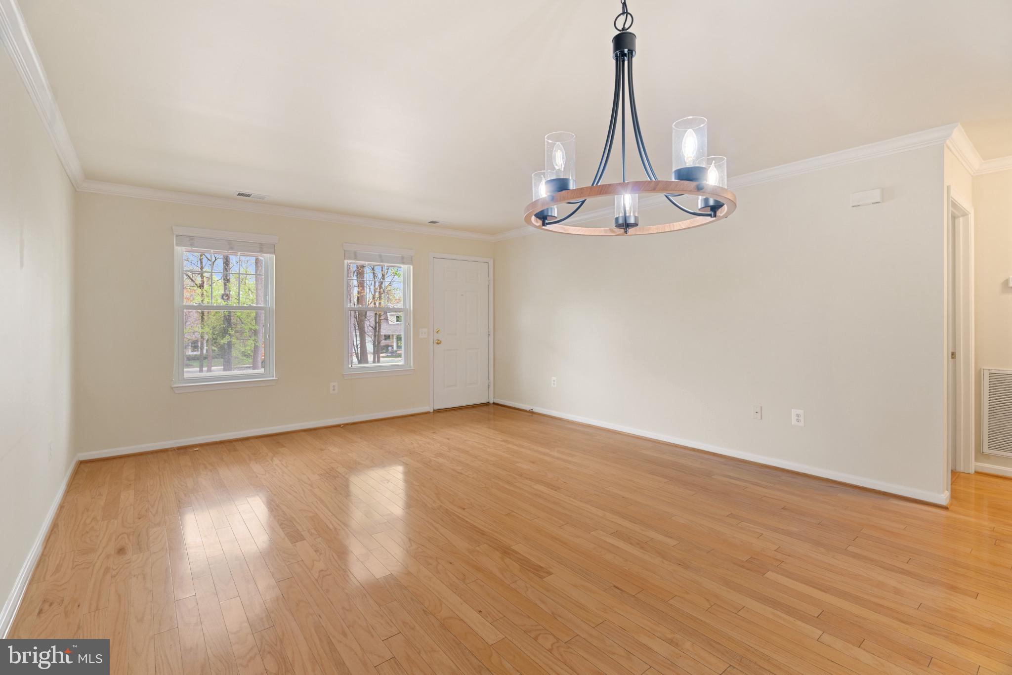 906 Roller Coaster Ct