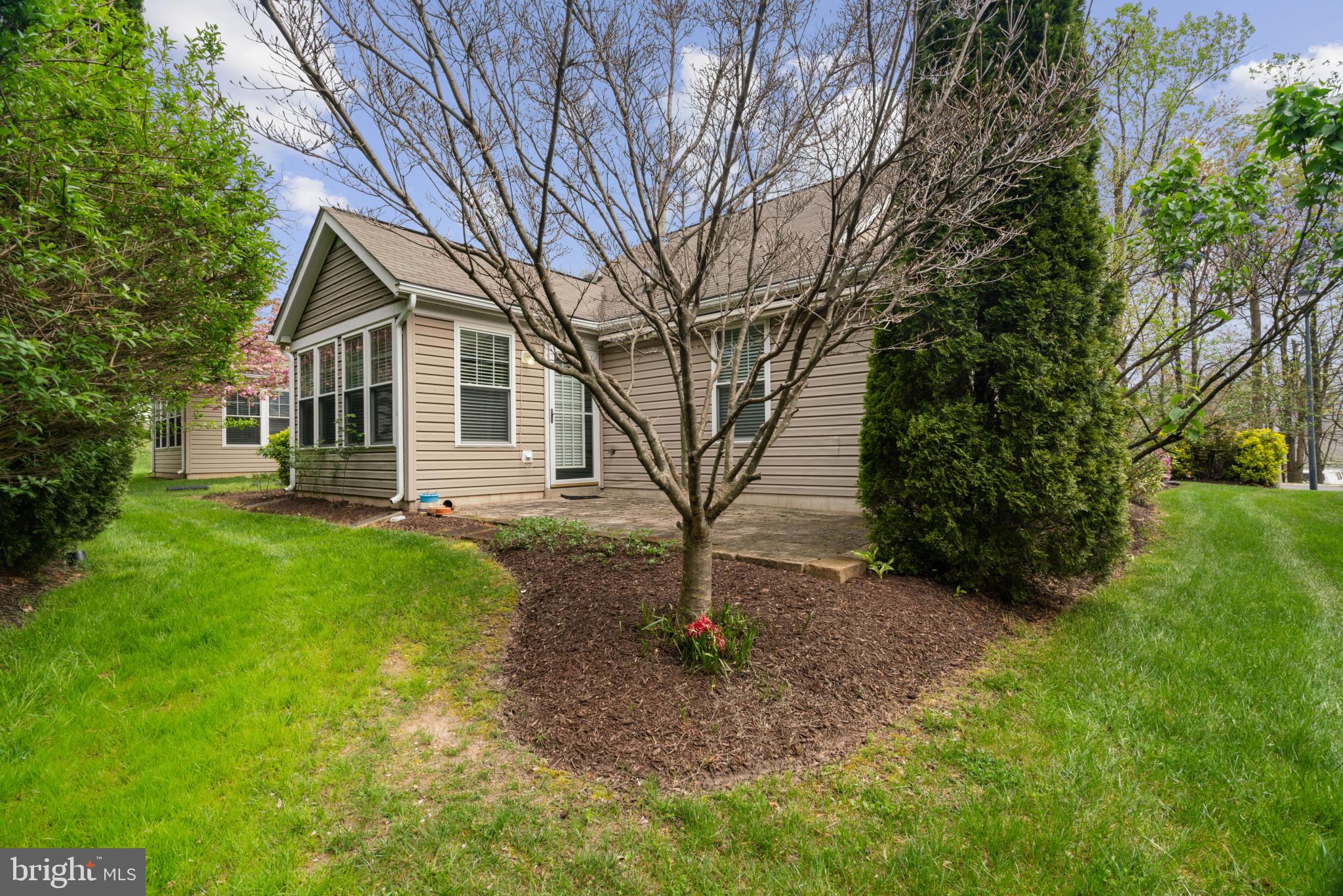 906 Roller Coaster Ct