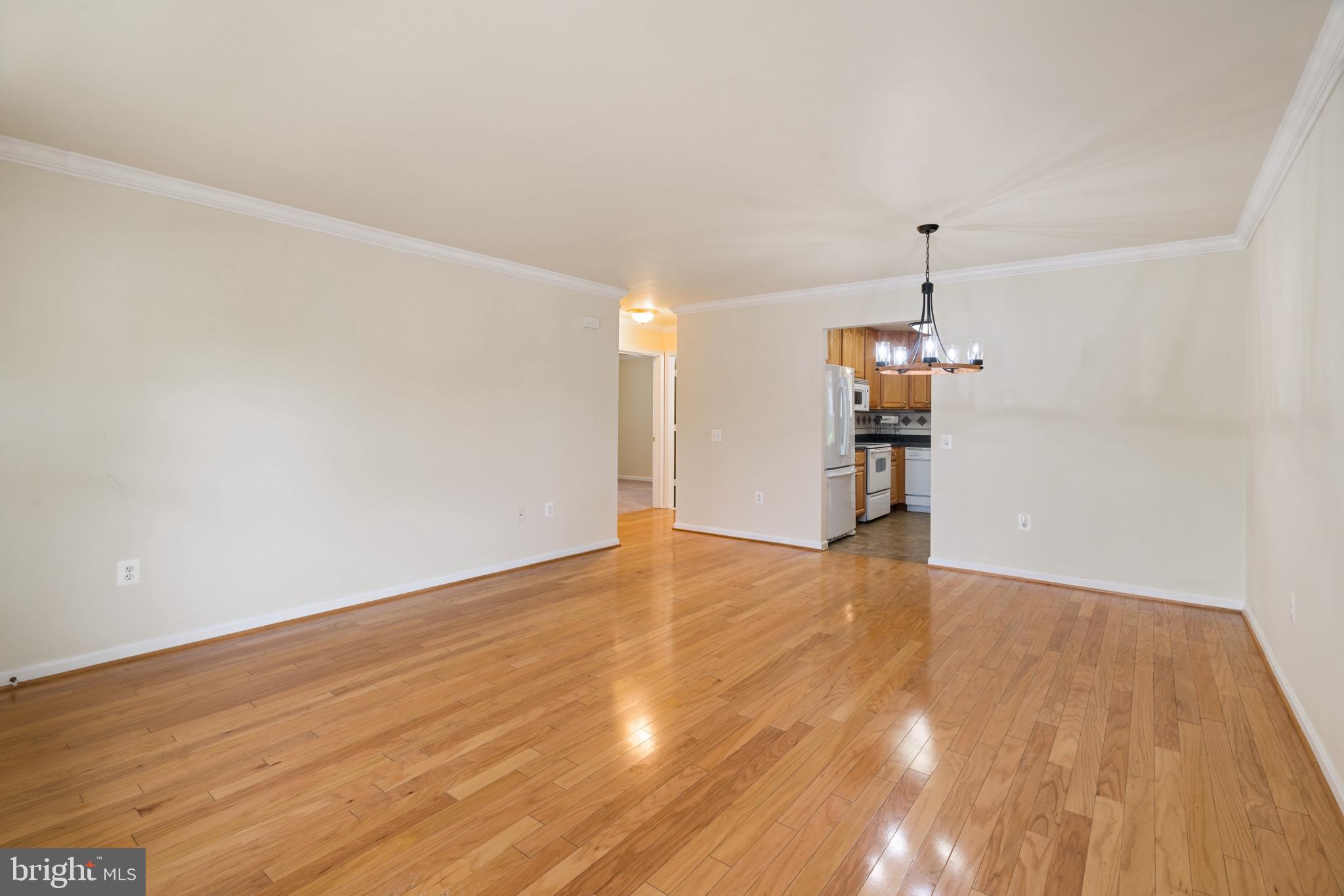 906 Roller Coaster Ct