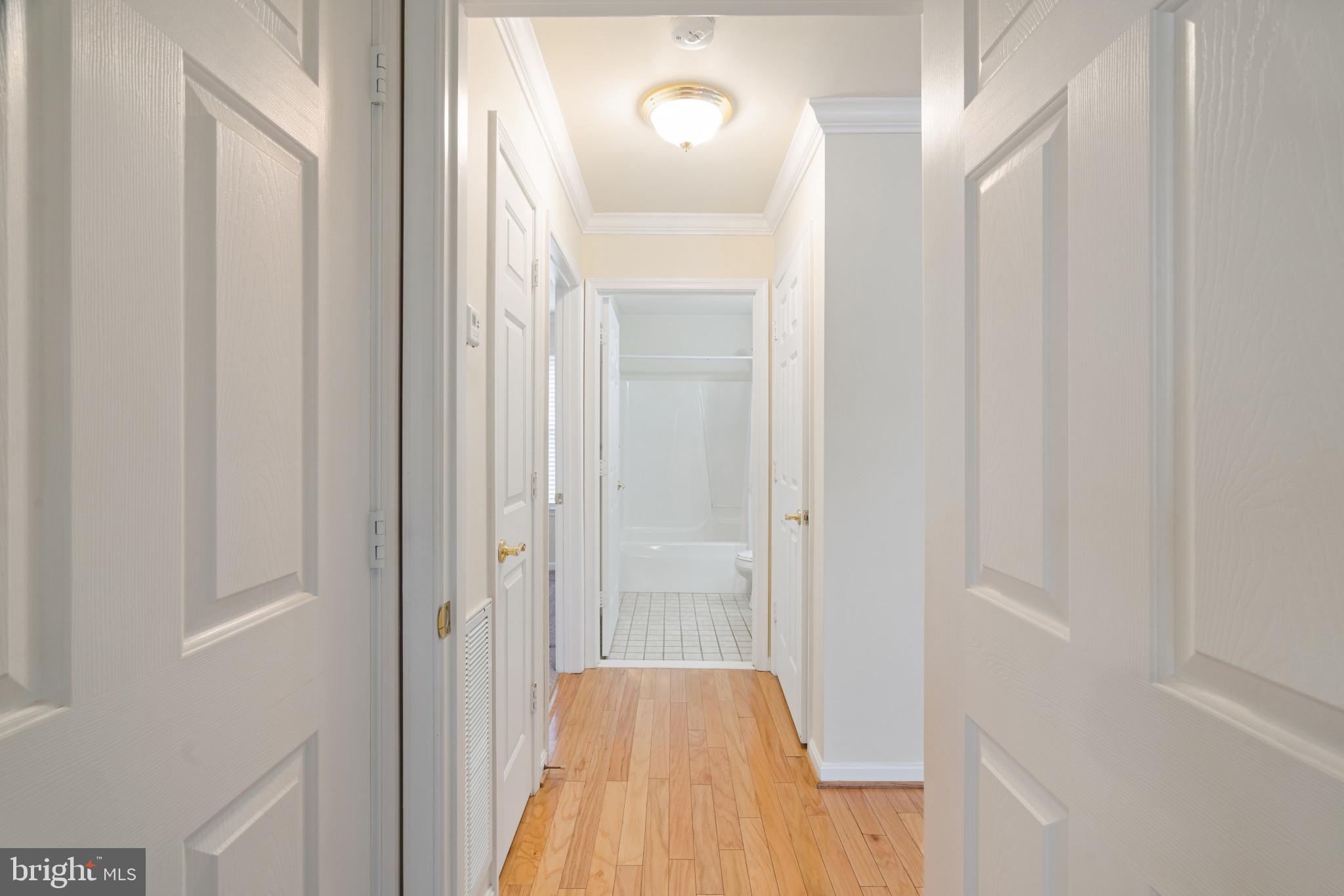 906 Roller Coaster Ct