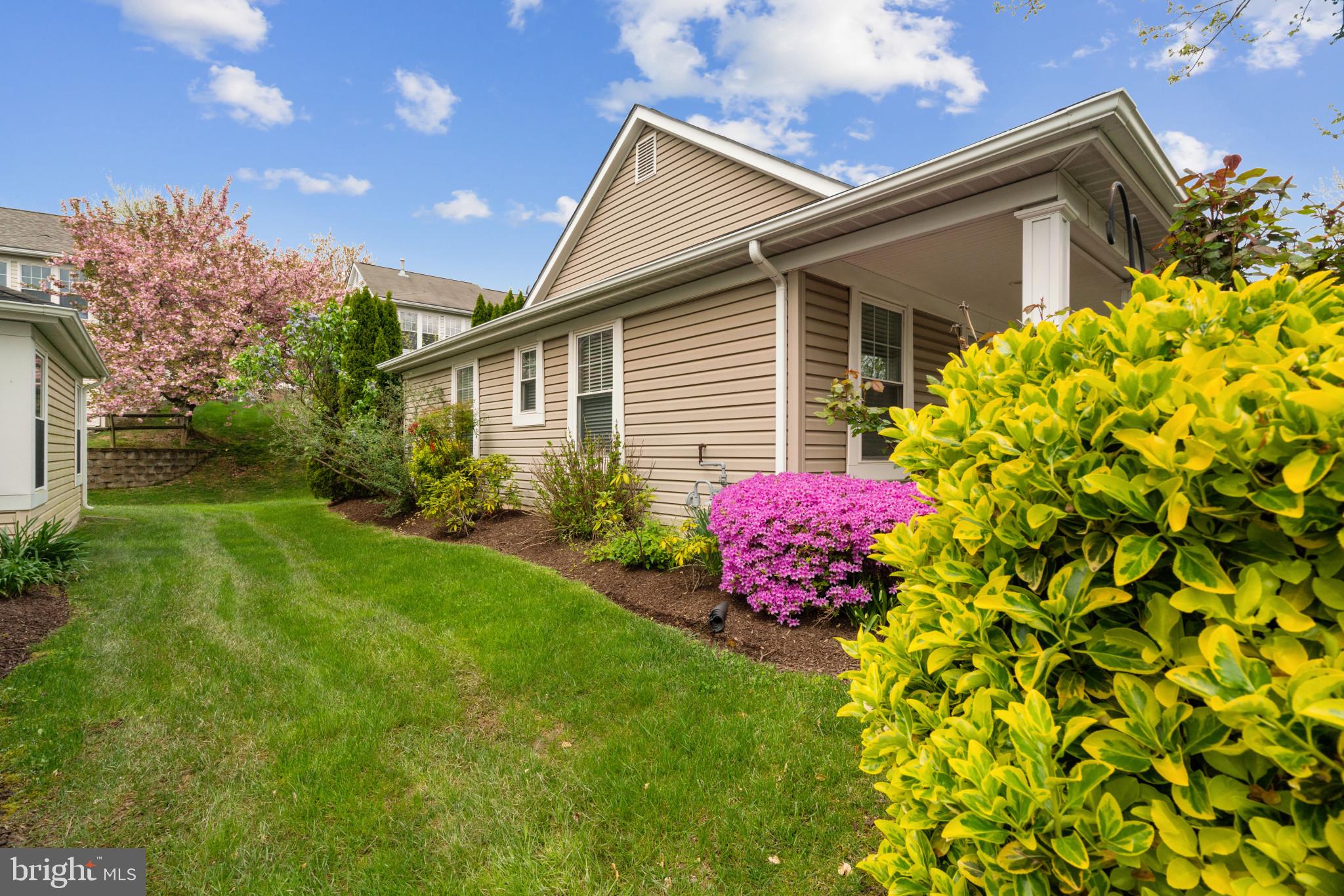 906 Roller Coaster Ct