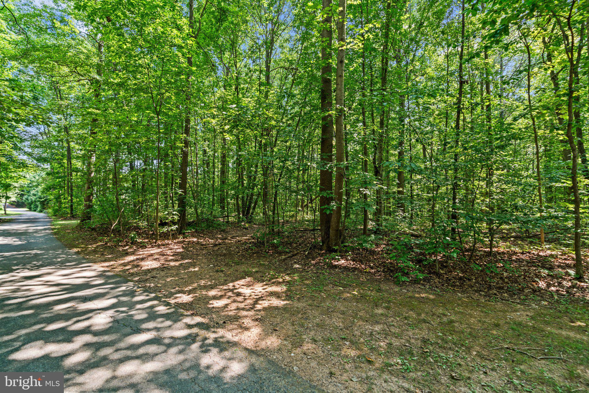 2015 Sleepy Hollow Drive